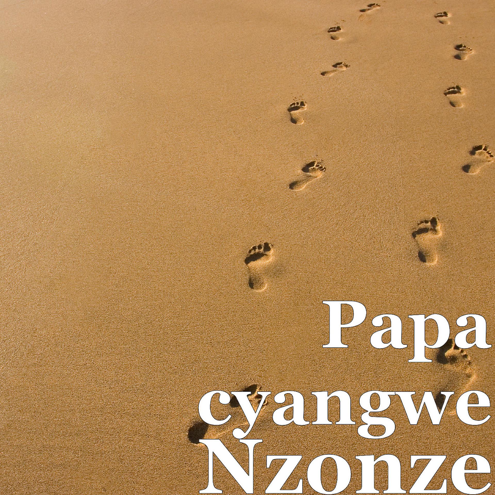 Постер альбома Nzonze