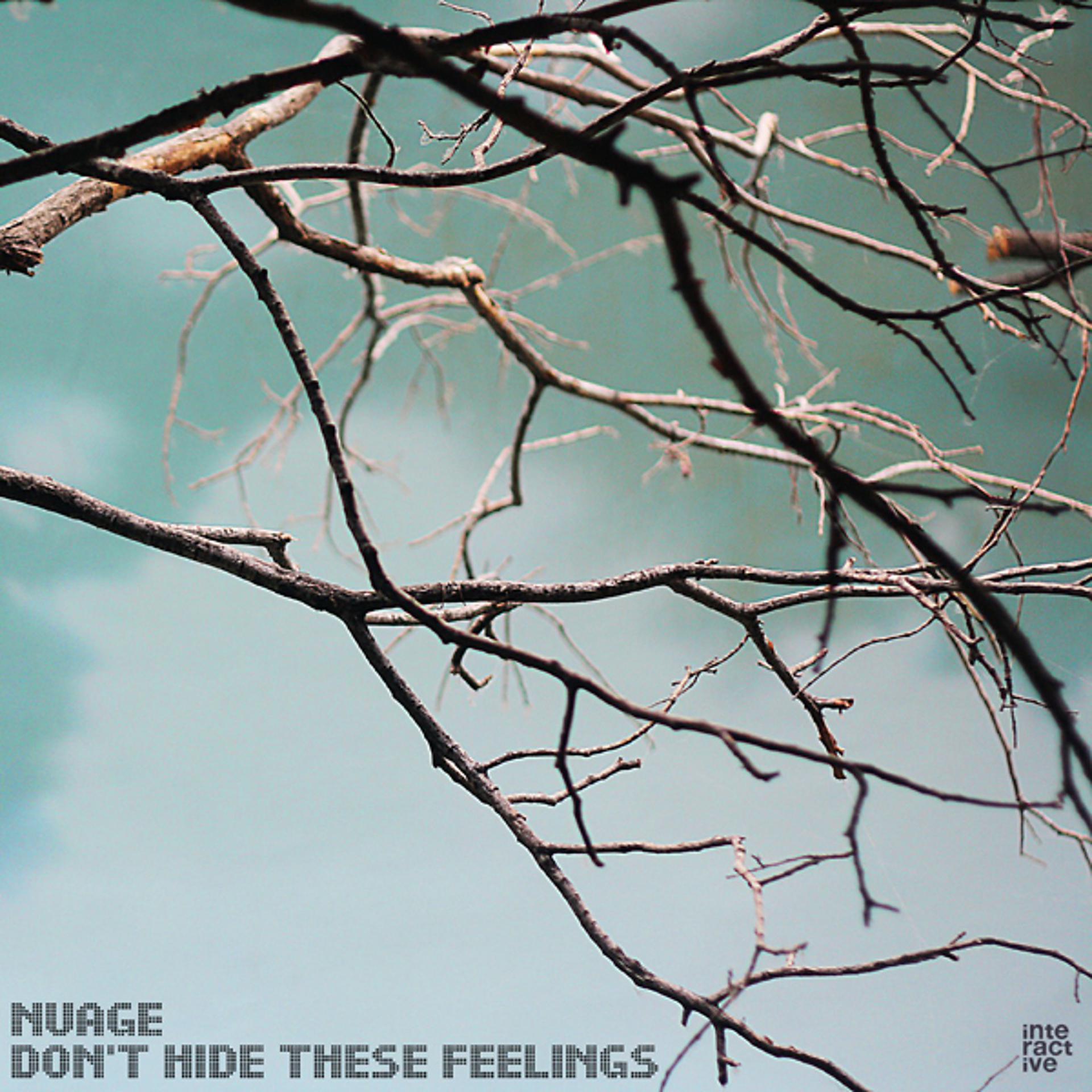 Постер альбома Don't Hide These Feelings