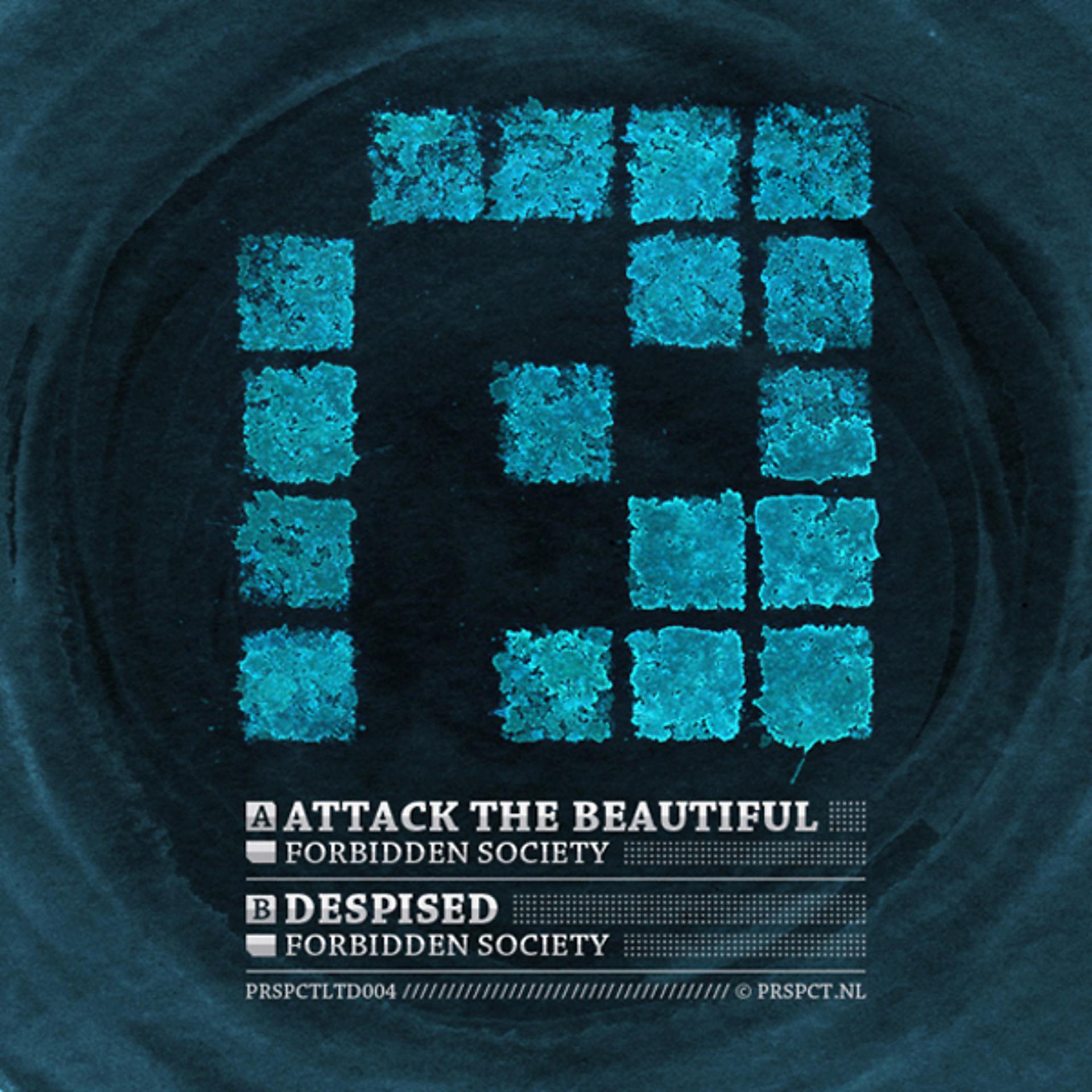 Постер альбома Attack The Beautiful / Despised