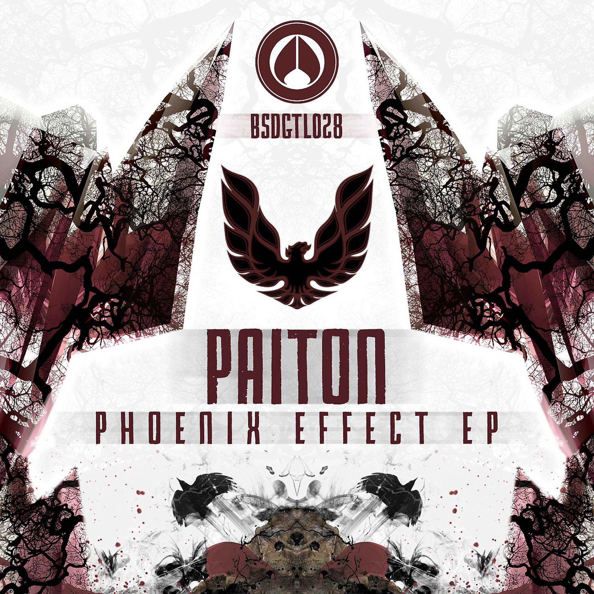 Постер альбома Phoenix Effect EP