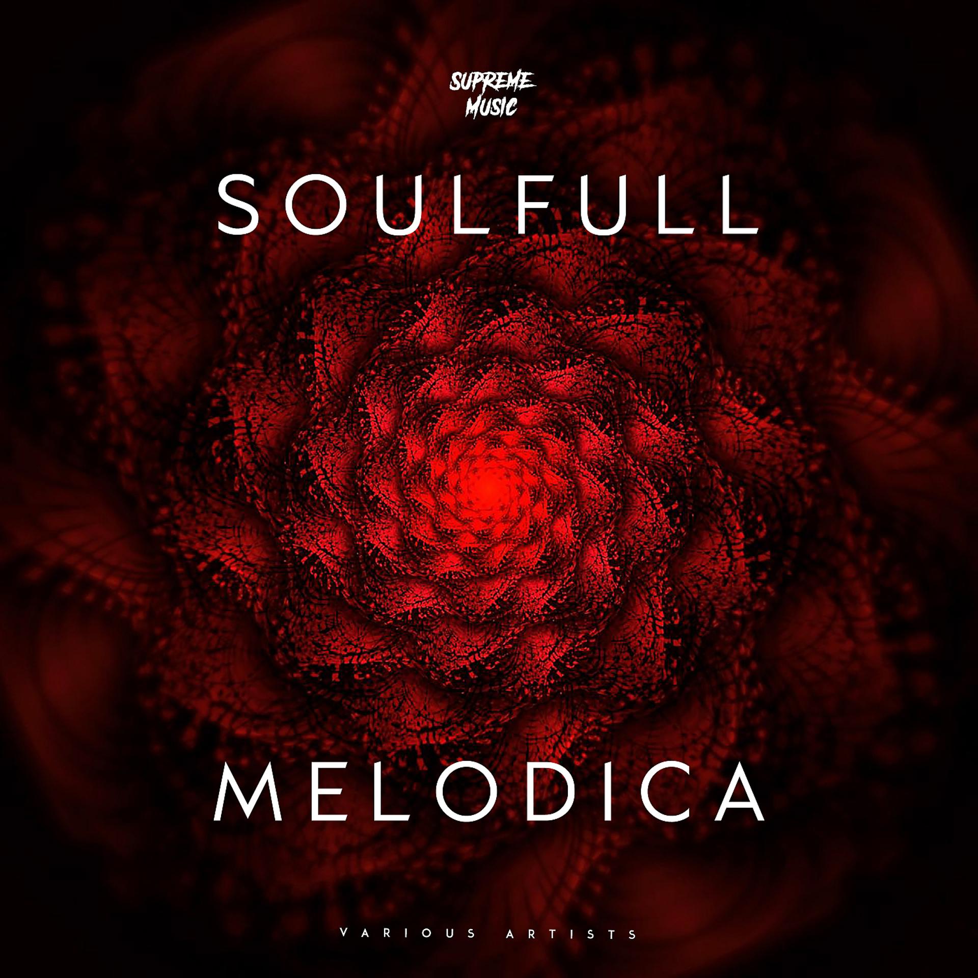 Постер альбома Soulfull Melodica