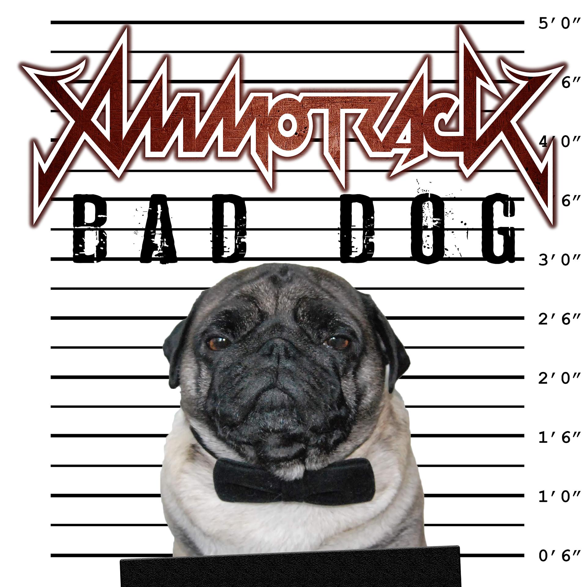 Постер альбома Bad Dog