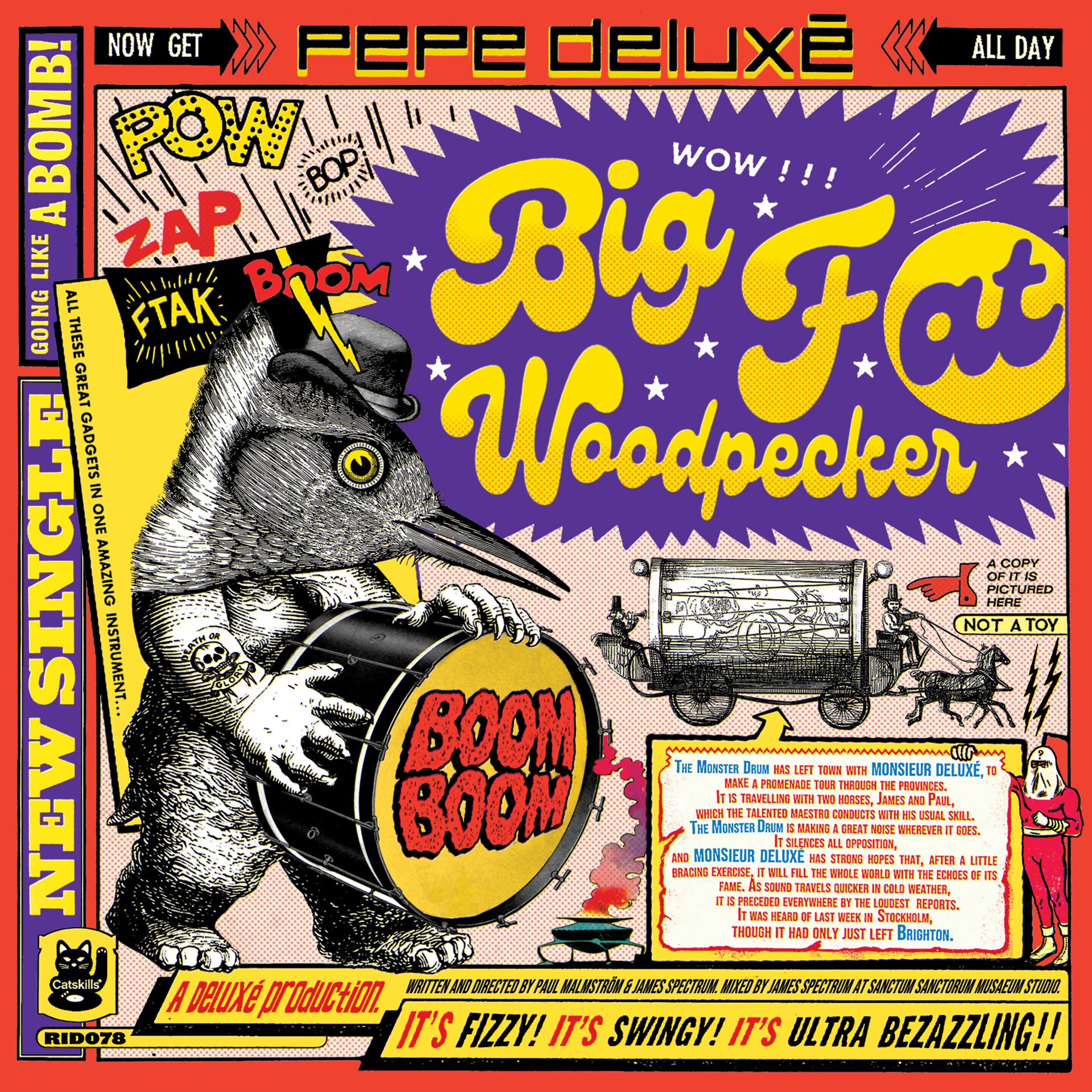 Постер альбома Big Fat Woodpecker