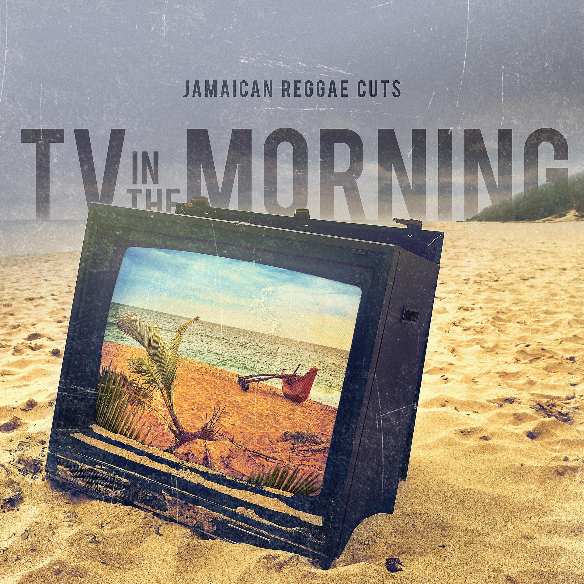 Постер альбома Tv in the Morning
