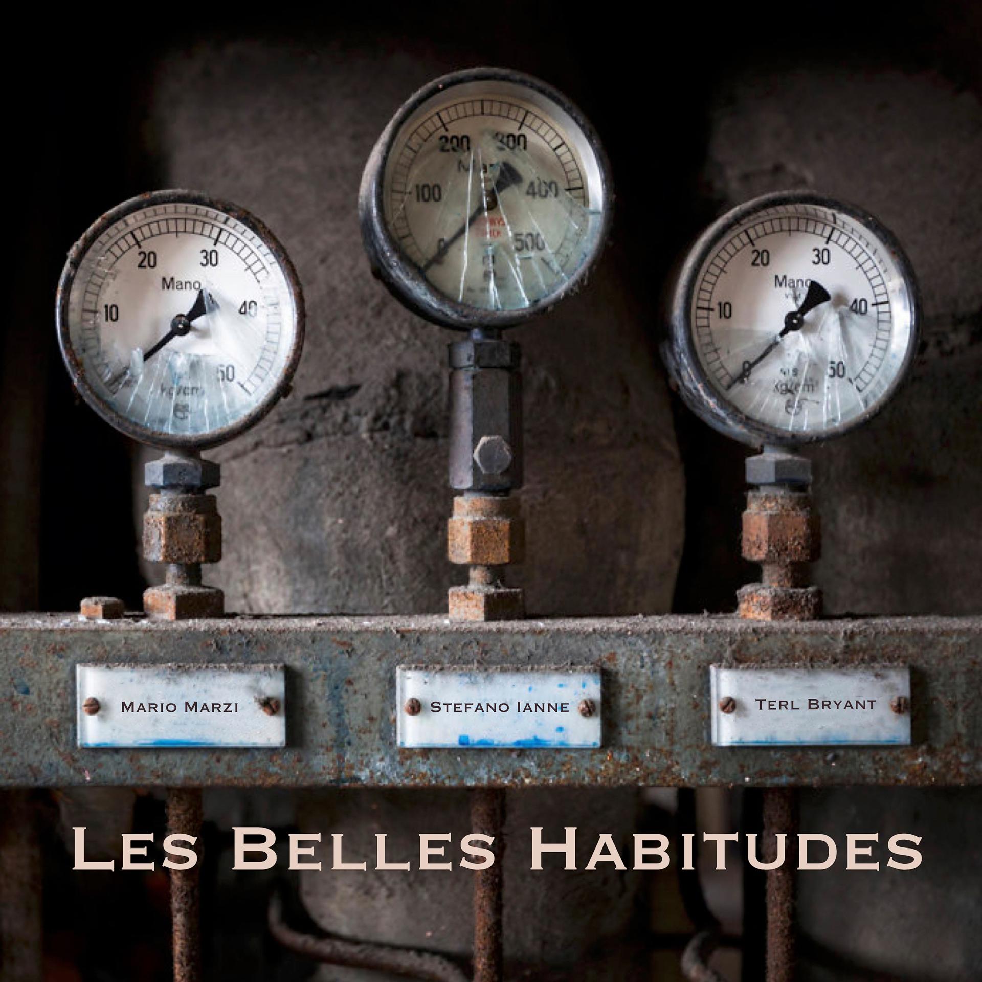 Постер альбома Les Belles Habitudes