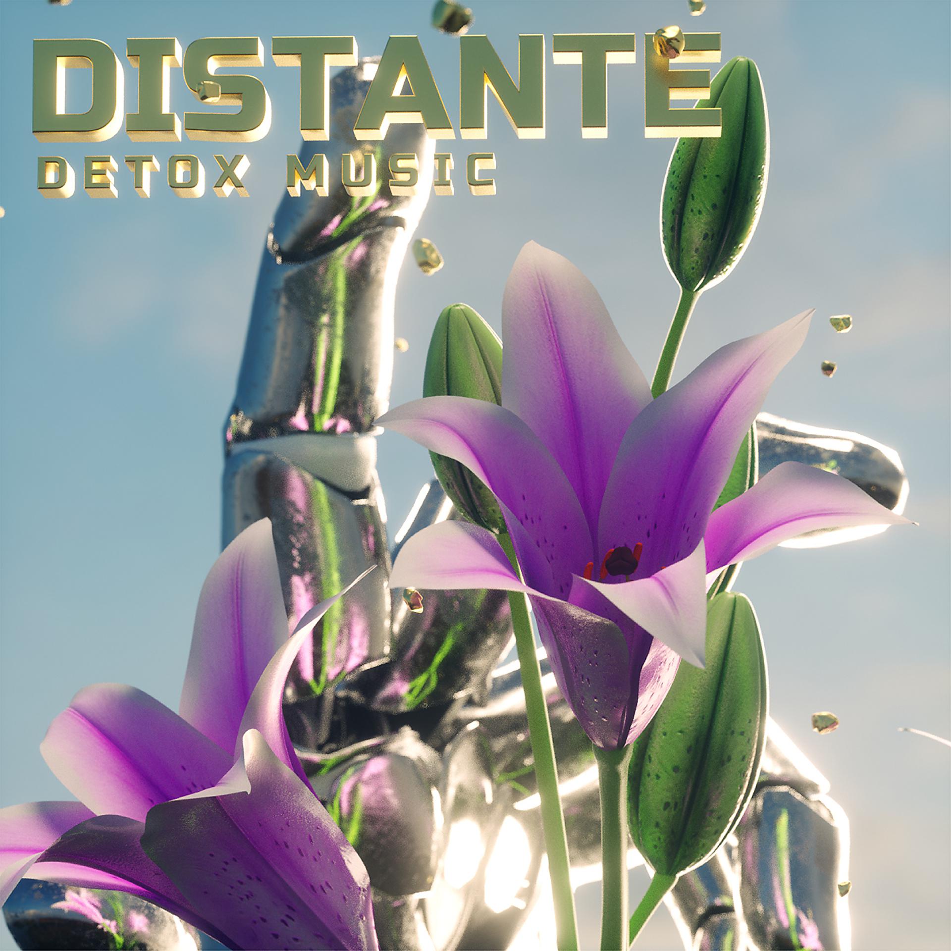 Постер альбома Distante