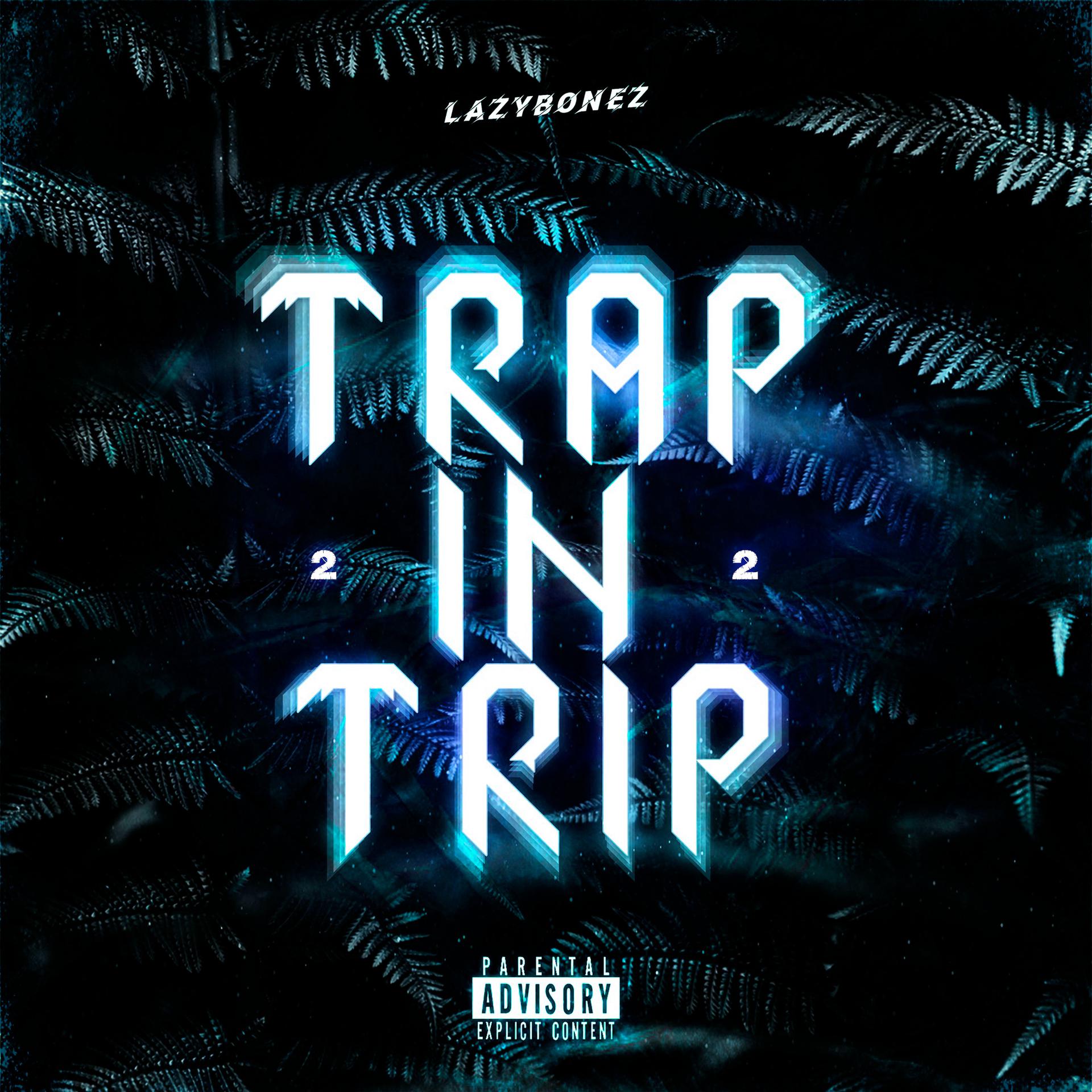 Постер альбома Trap In Trip 2
