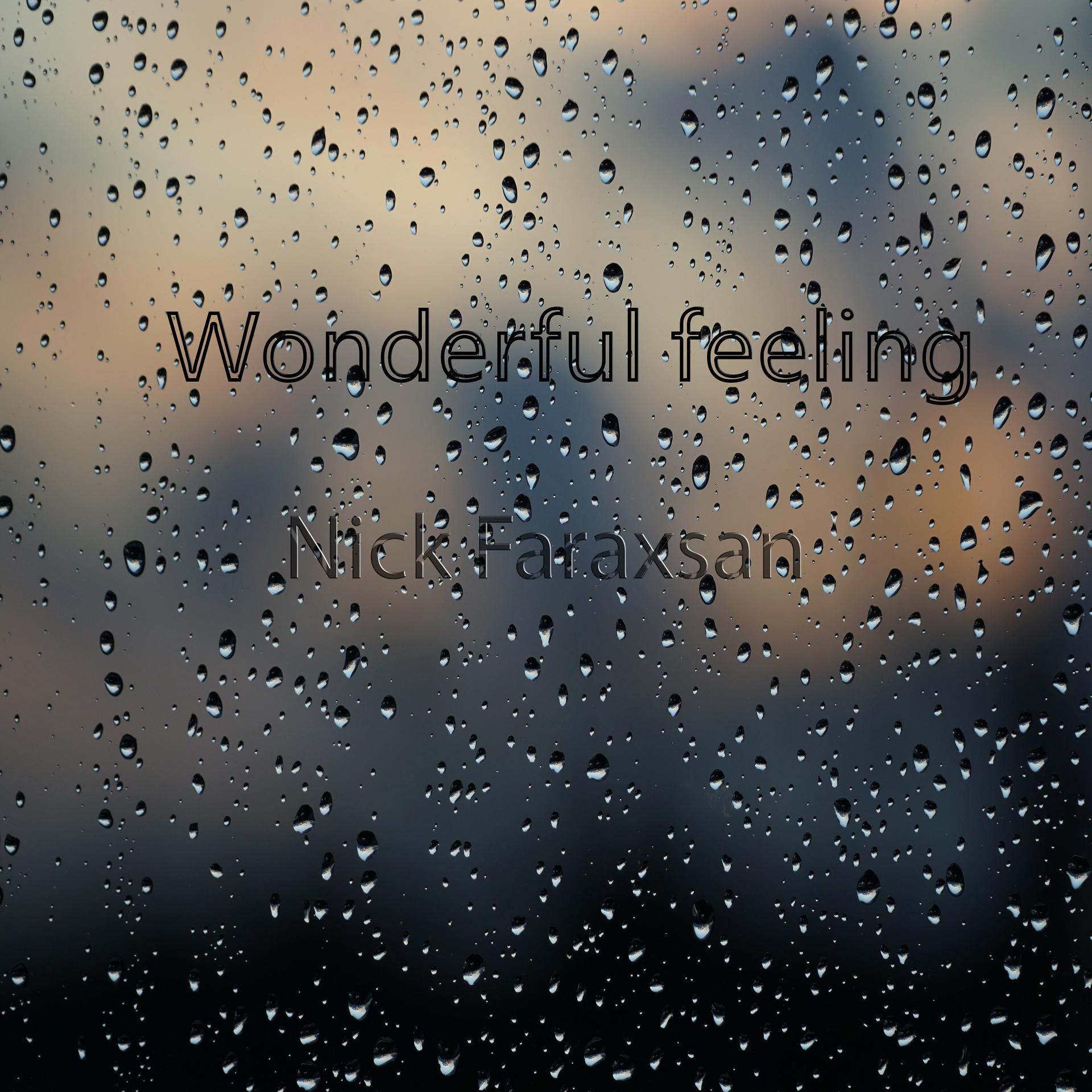 Постер альбома Wonderful Feeling