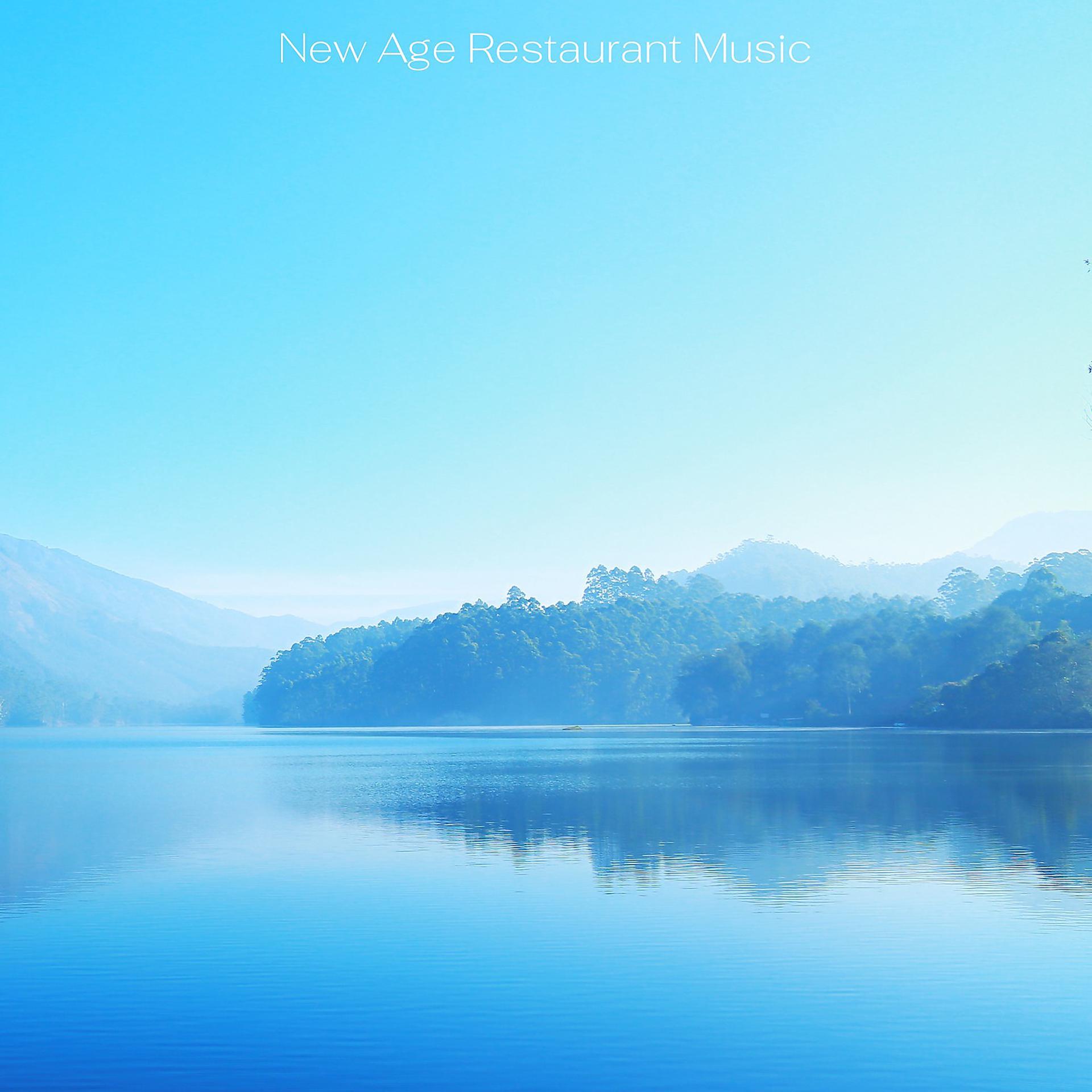 Постер альбома New Age Restaurant Music