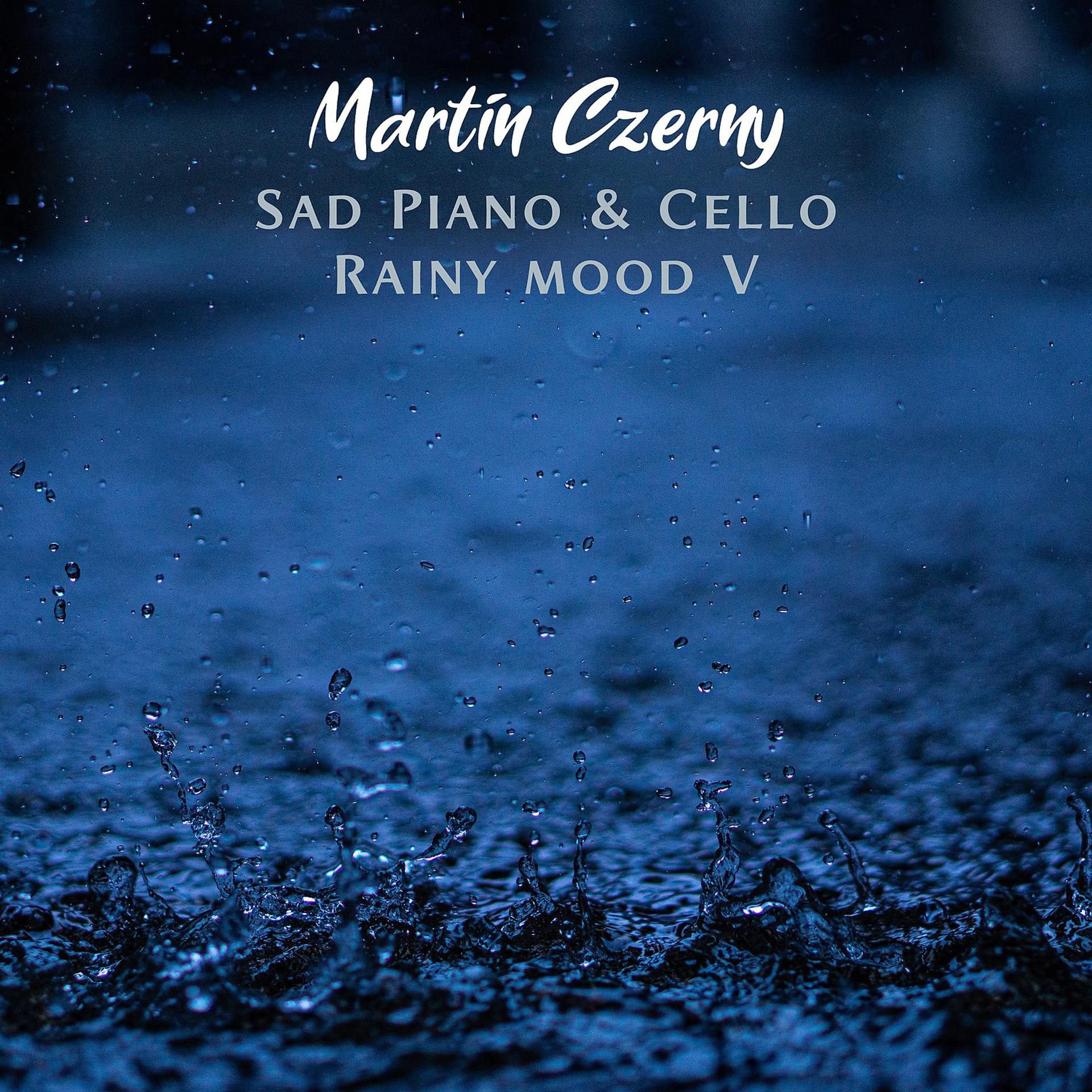Постер альбома Sad Piano & Cello Rainy Mood V