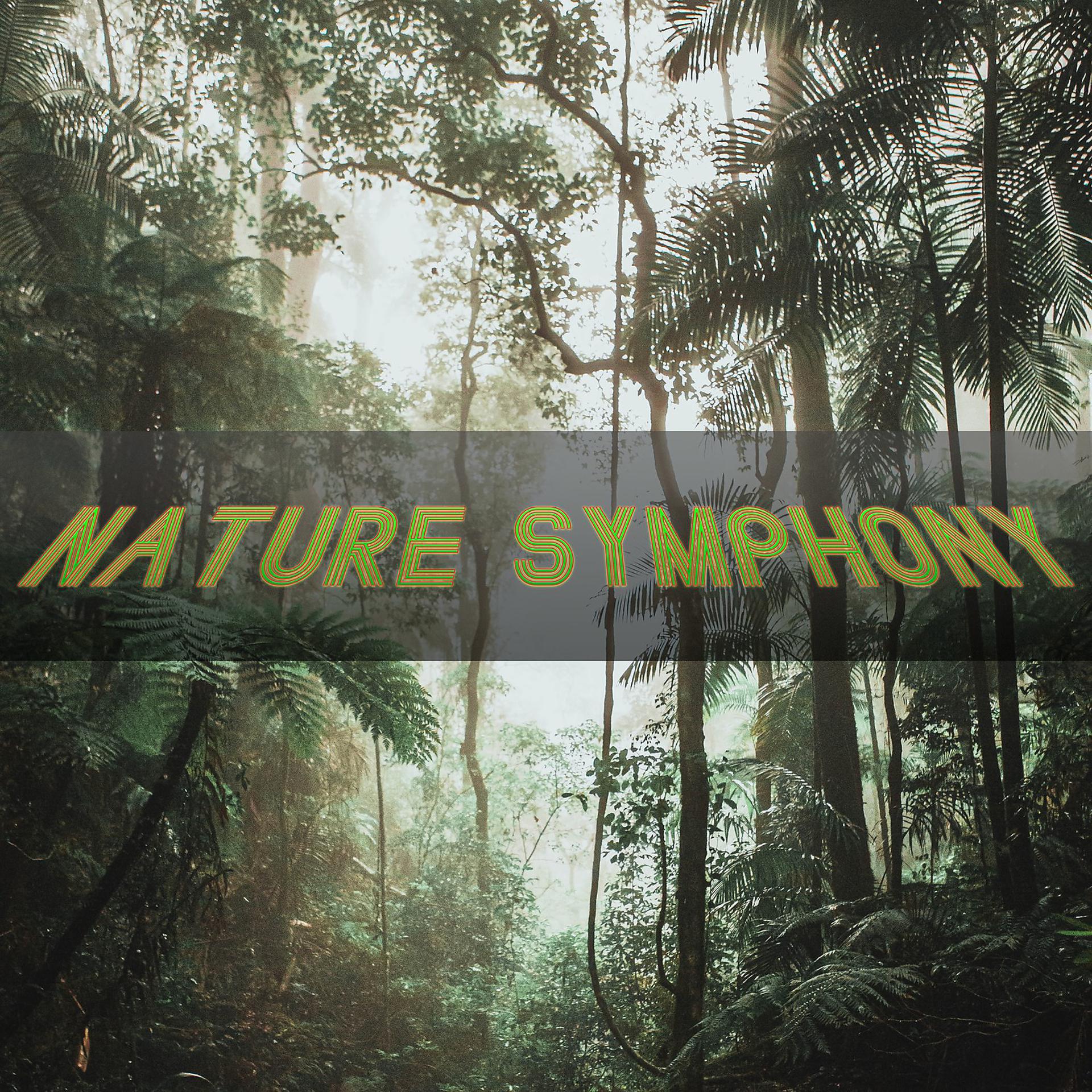 Постер альбома Nature Symphony