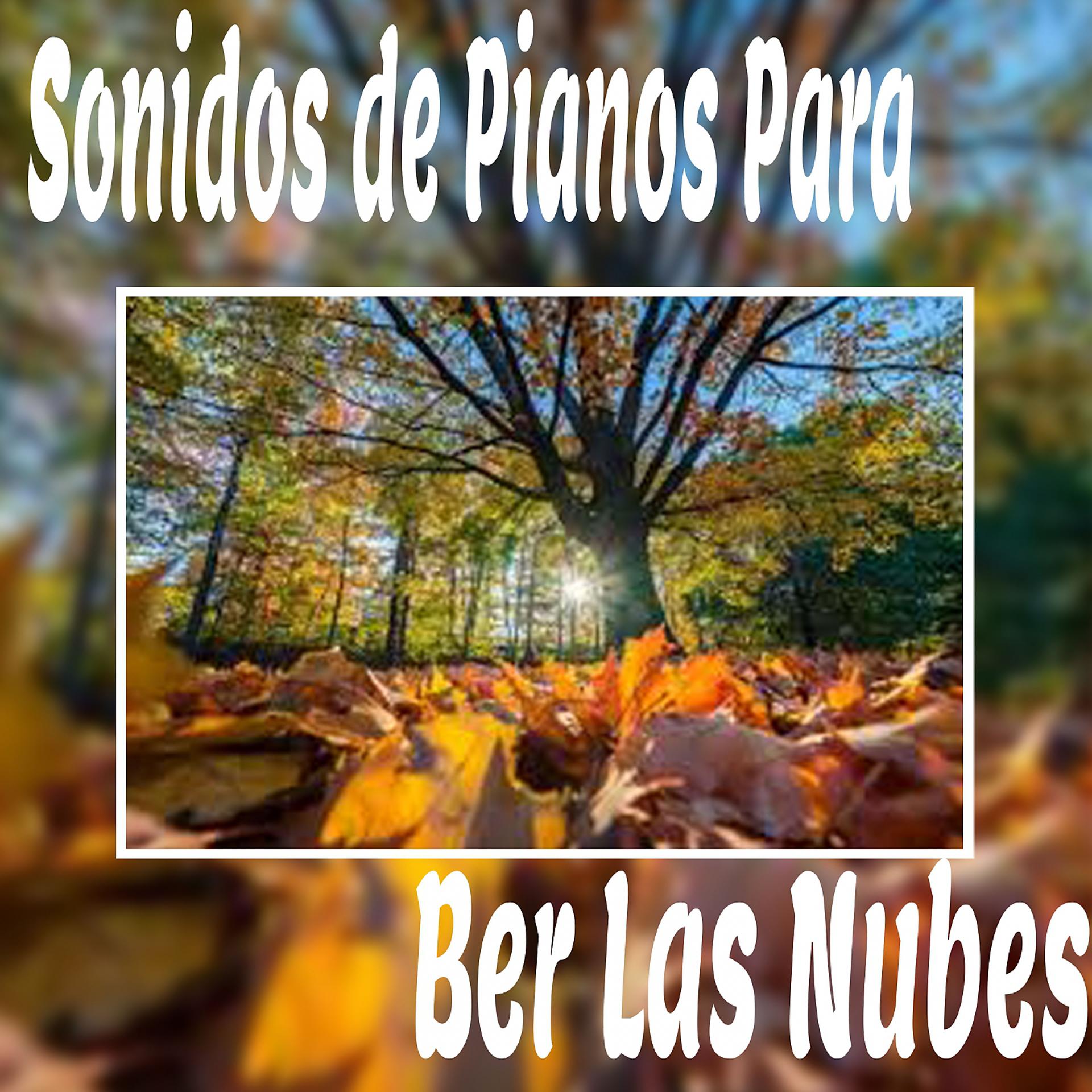 Постер альбома Sonidos de Pianos para Ber las Nubes