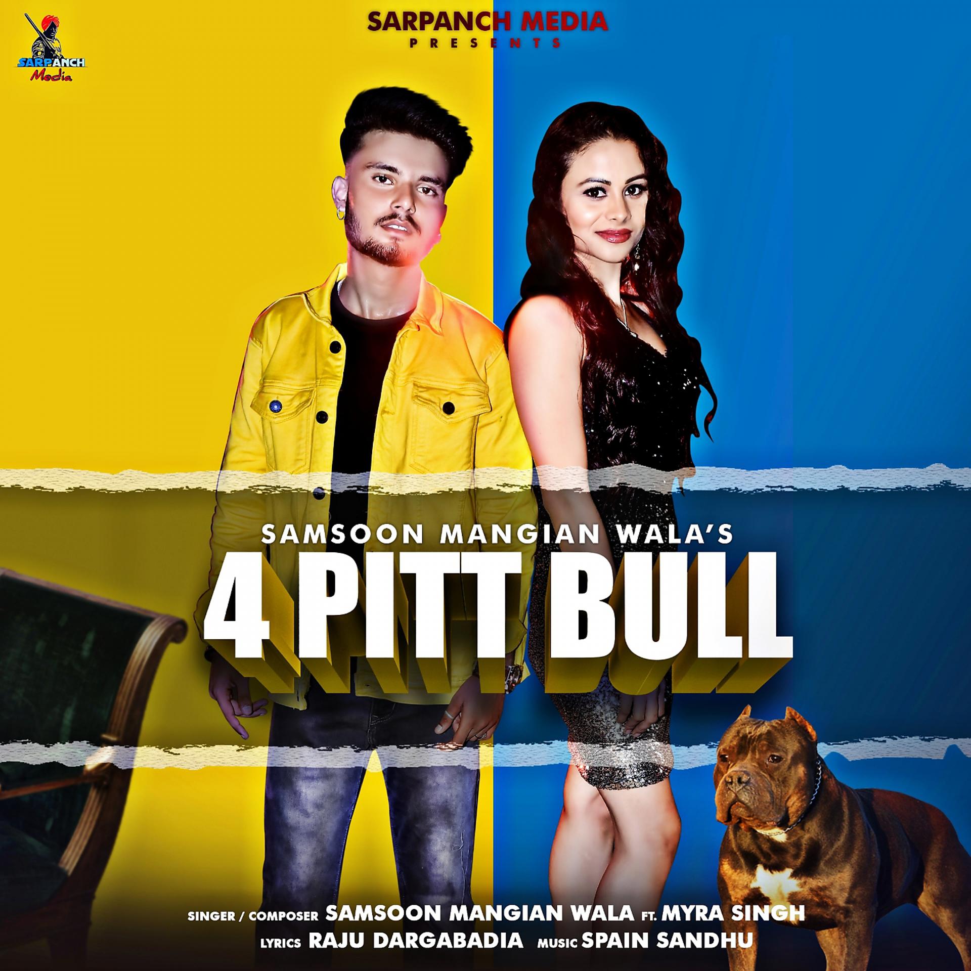 Постер альбома 4 Pitt Bull
