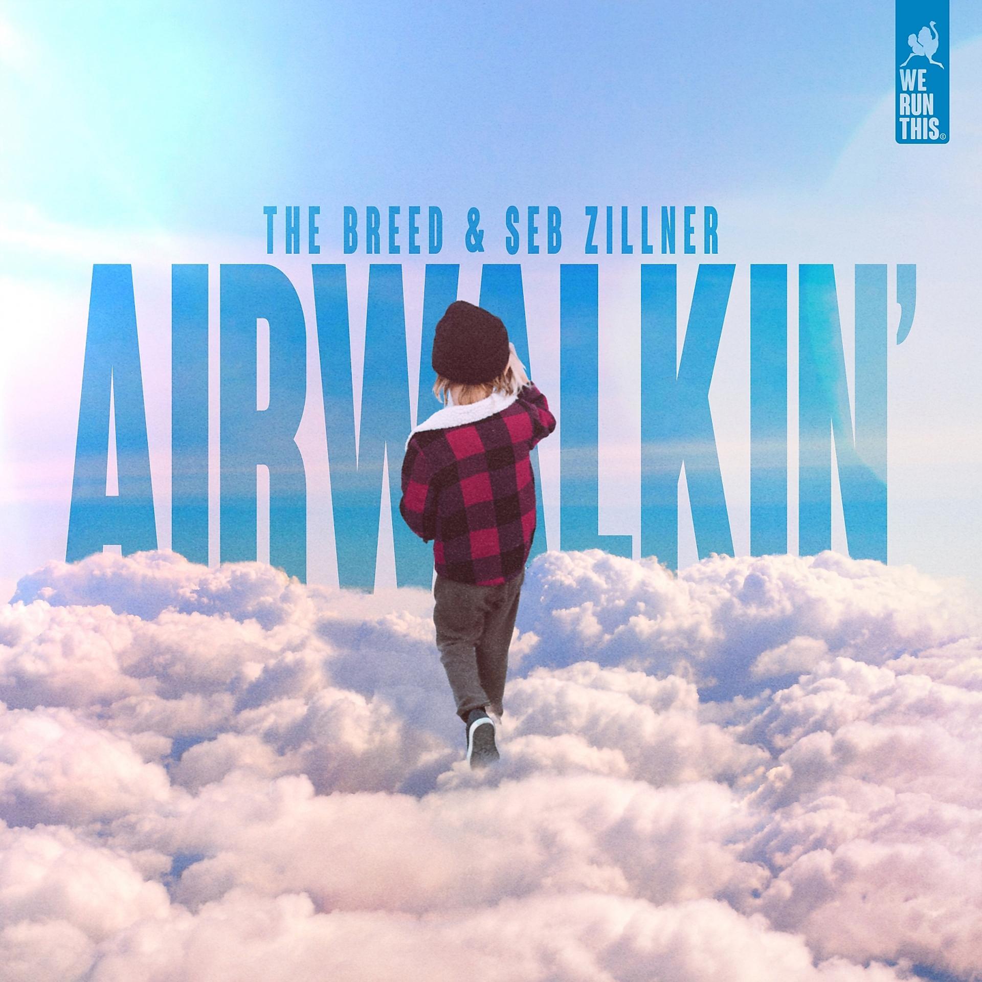 Постер альбома Airwalkin'