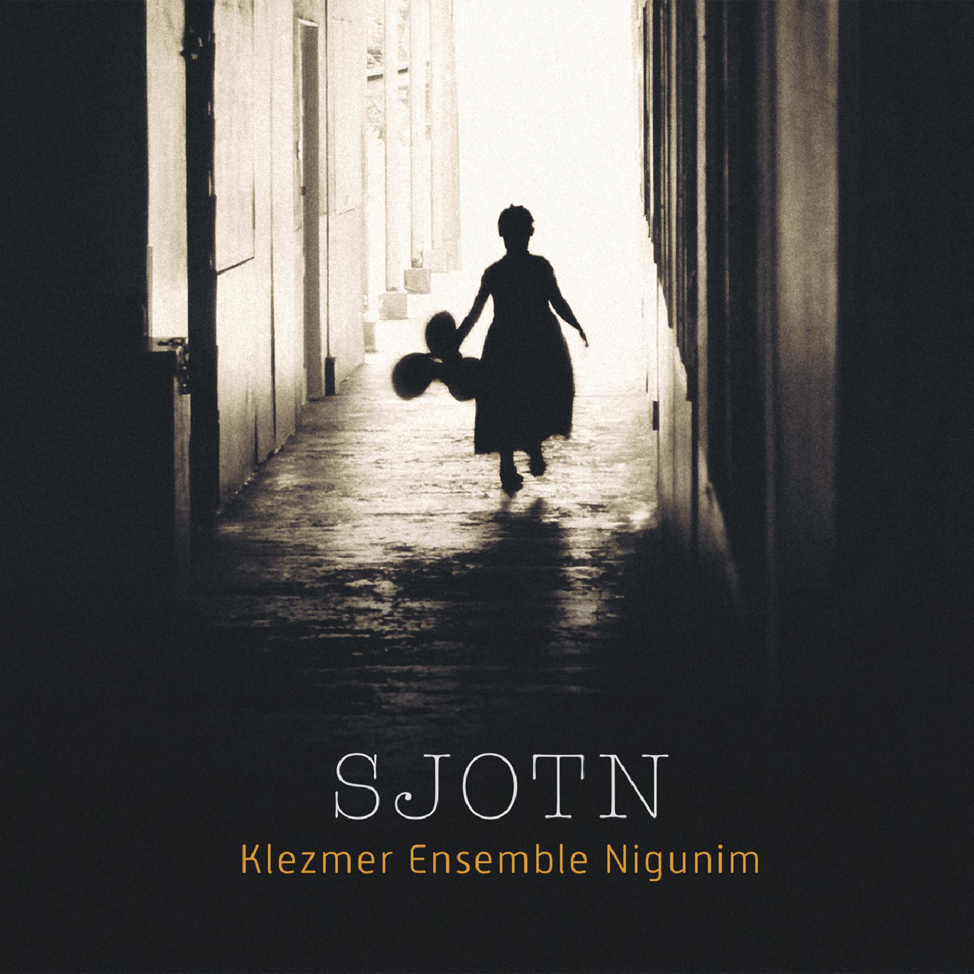 Постер альбома Sjotn