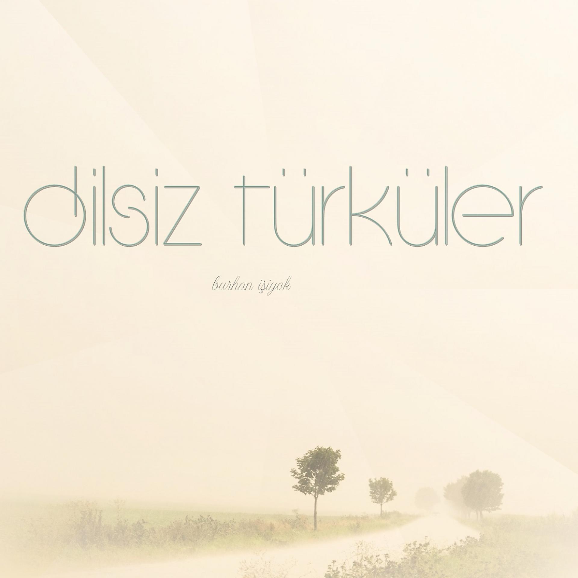 Постер альбома Dilsiz Türküler