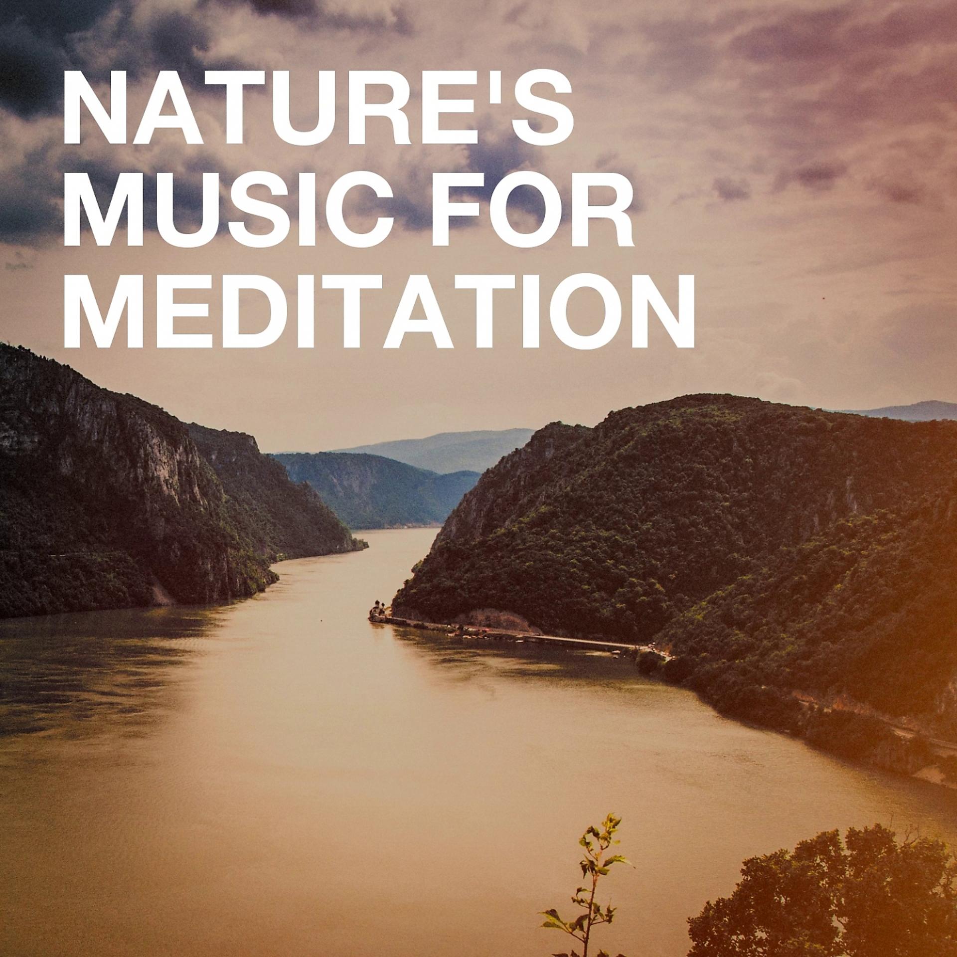 Постер альбома Nature's Music for Meditation