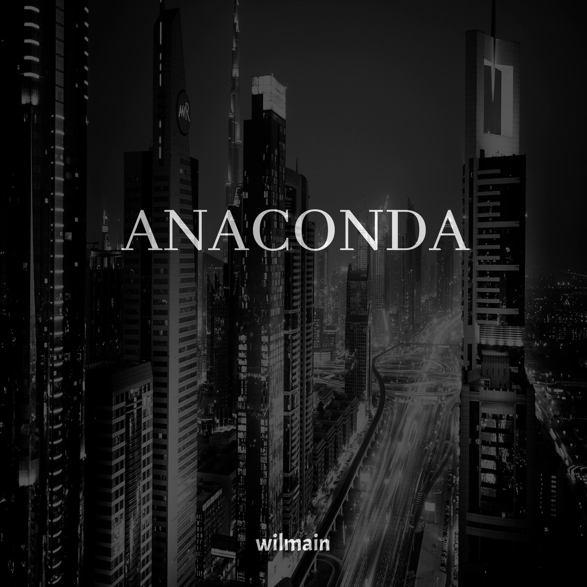 Постер альбома Anaconda