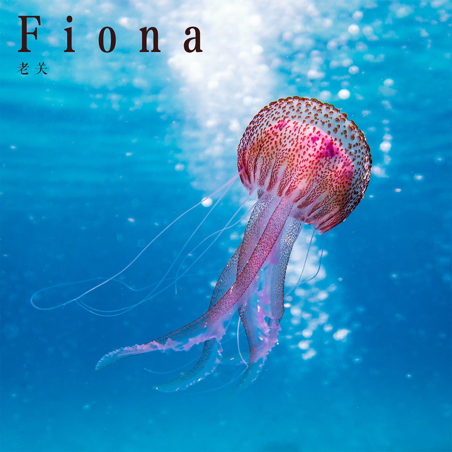 Постер альбома Fiona