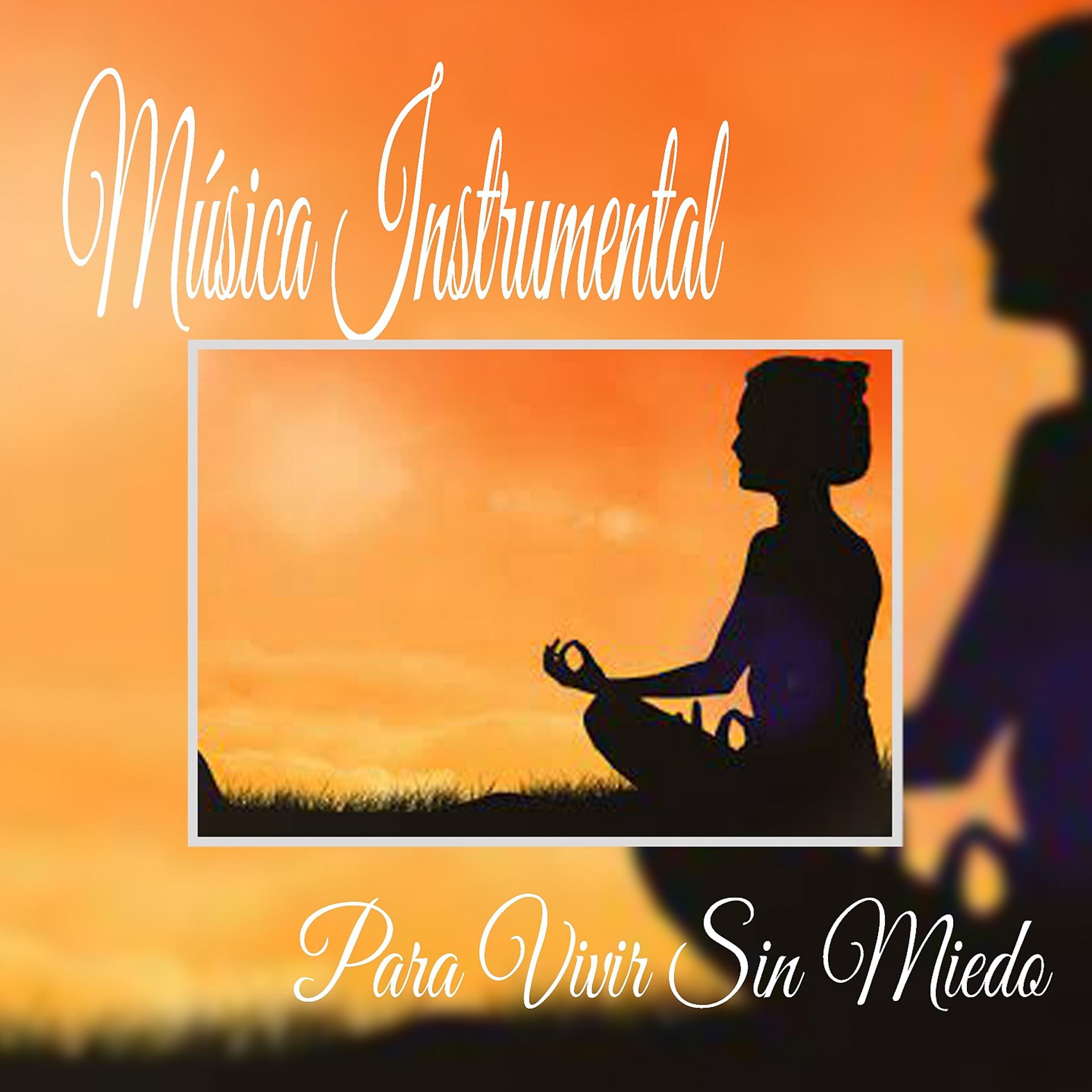 Постер альбома Música Instrumental para Vivir Sin Miedo