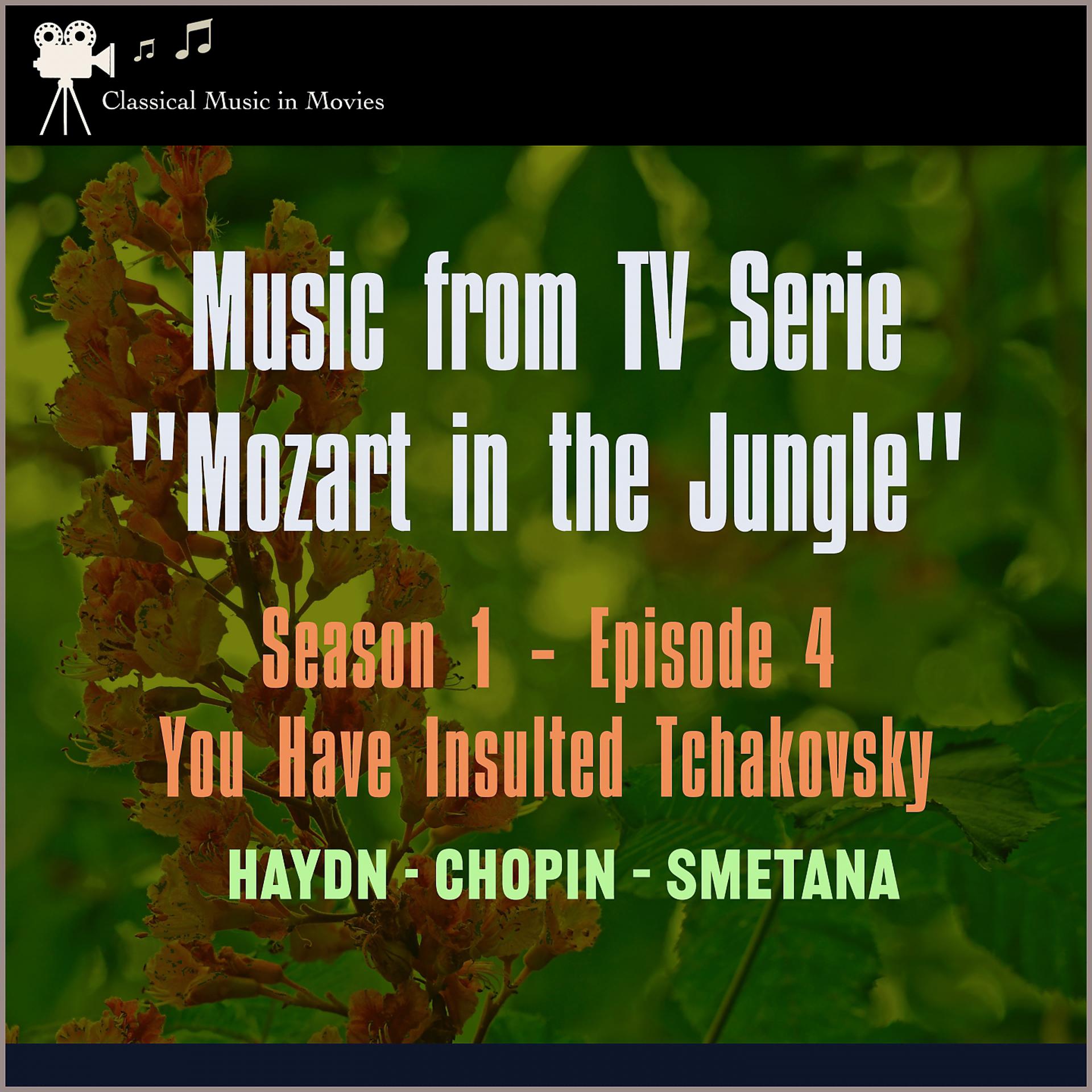 Постер альбома Music from Tv Serie: "Mozart in the Jungel" S1, E4 You Have Insulted Tchakovsky