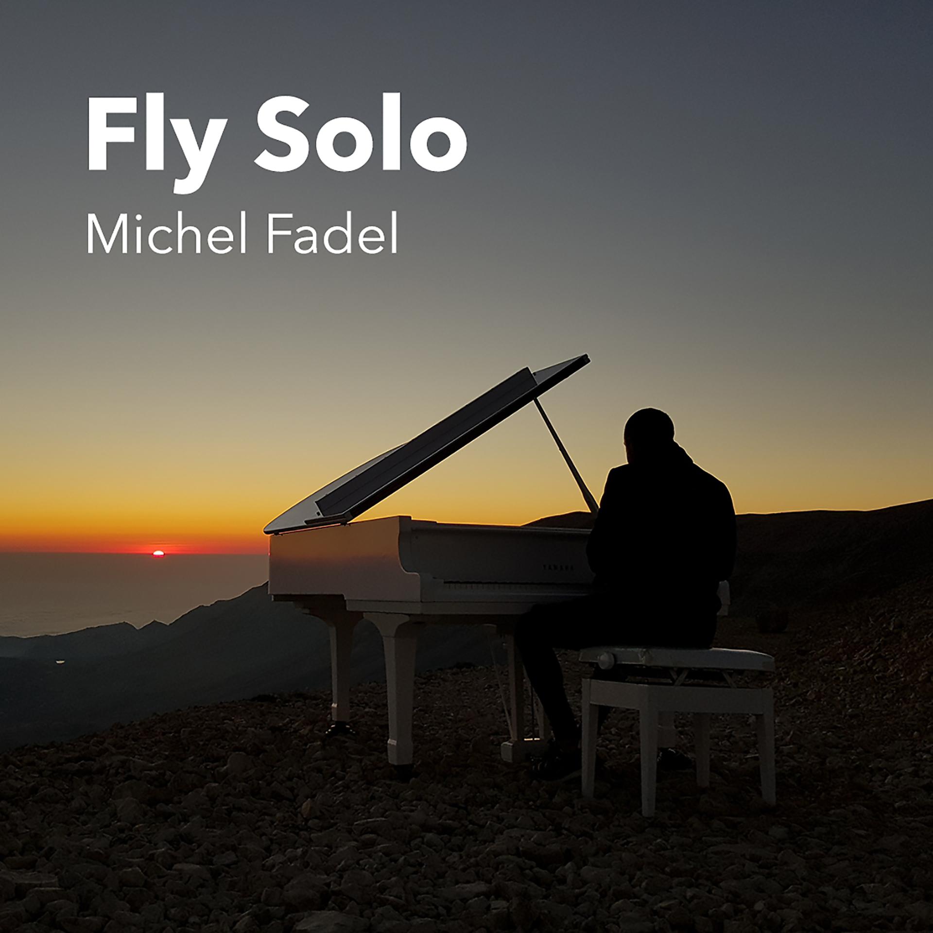Постер альбома Fly Solo