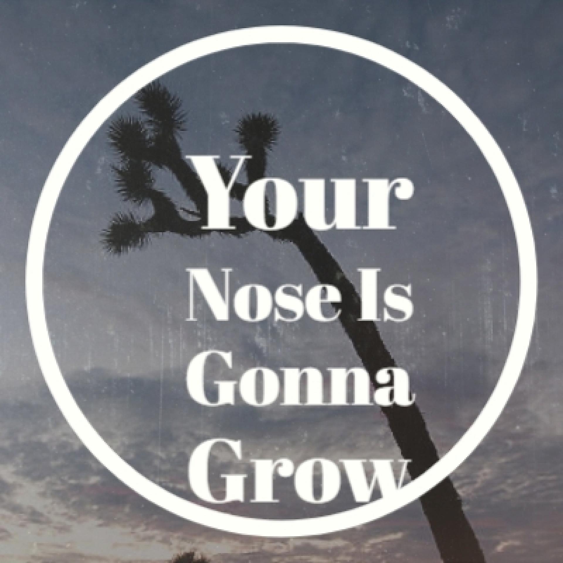 Постер альбома Your Nose Is Gonna Grow