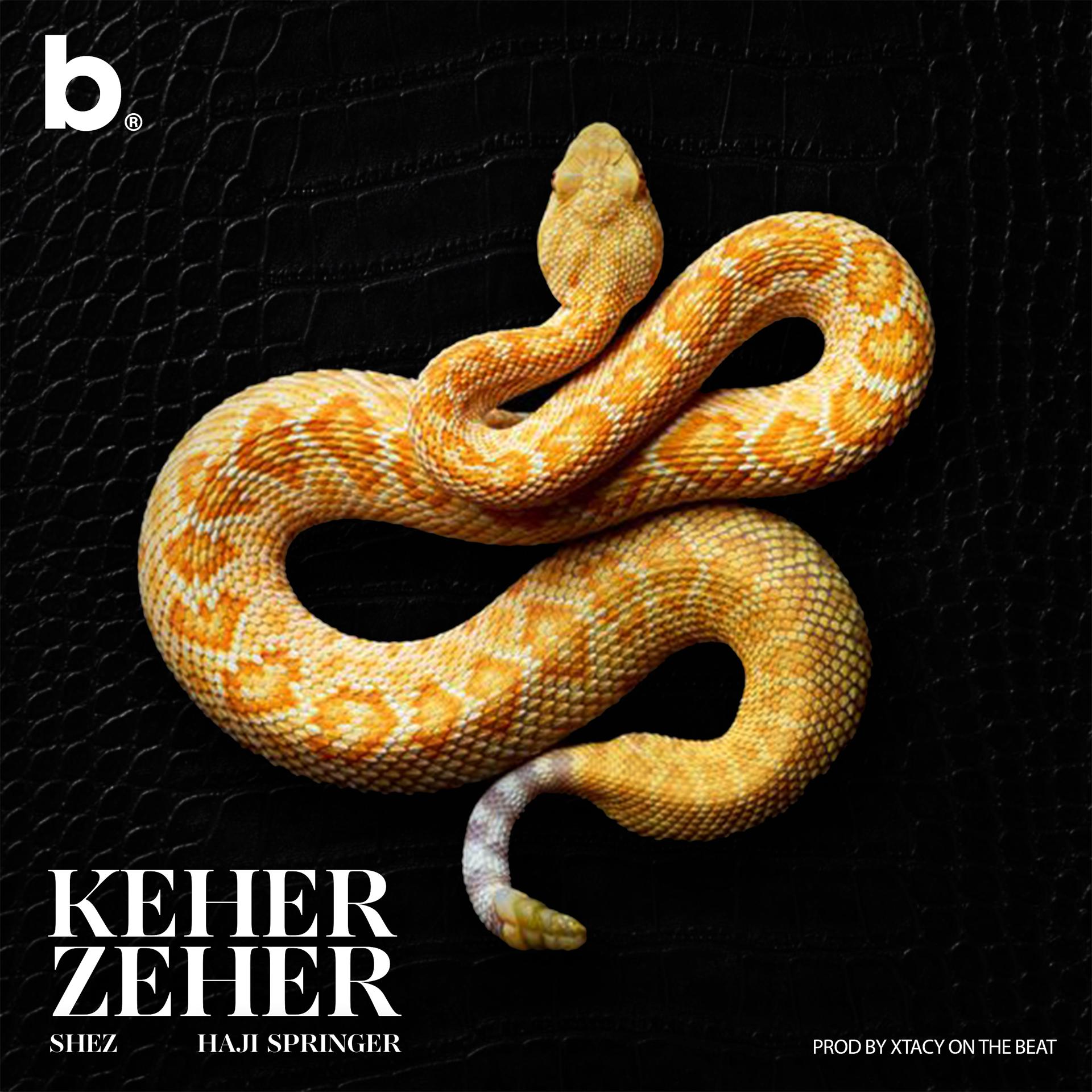 Постер альбома Keher Zeher