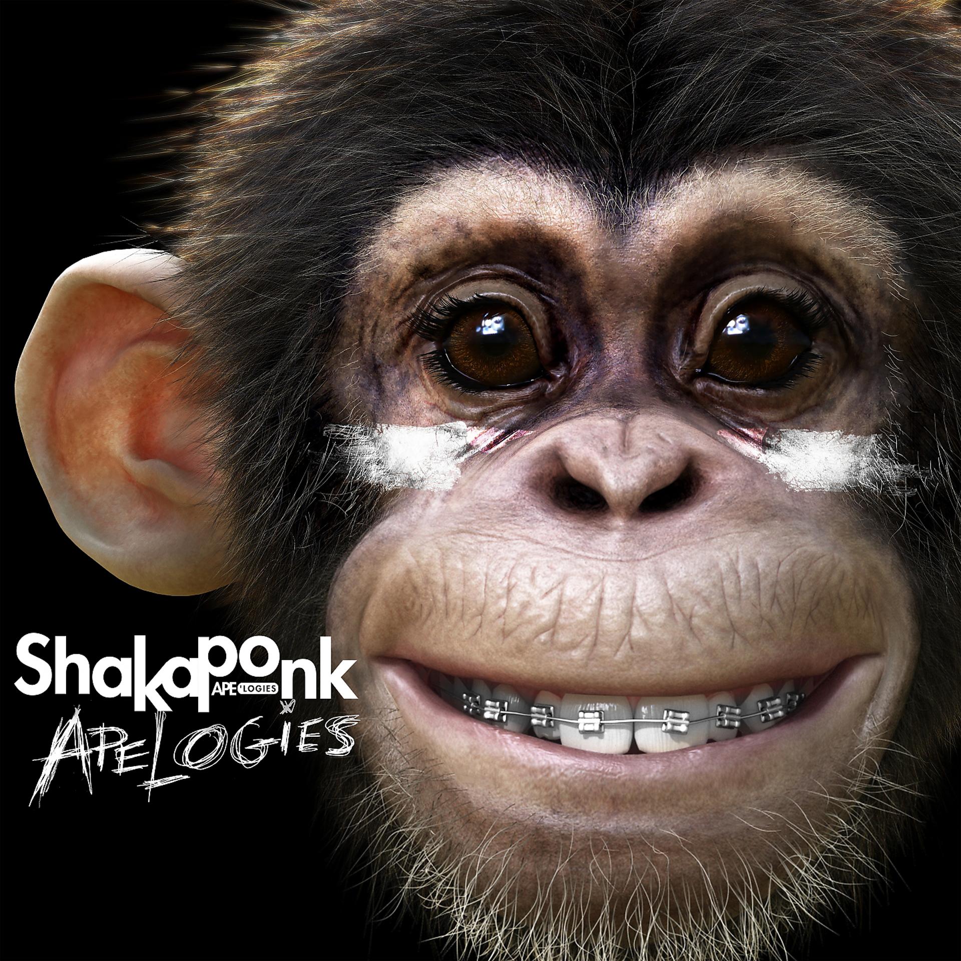 Постер альбома Funky Junky Monkey