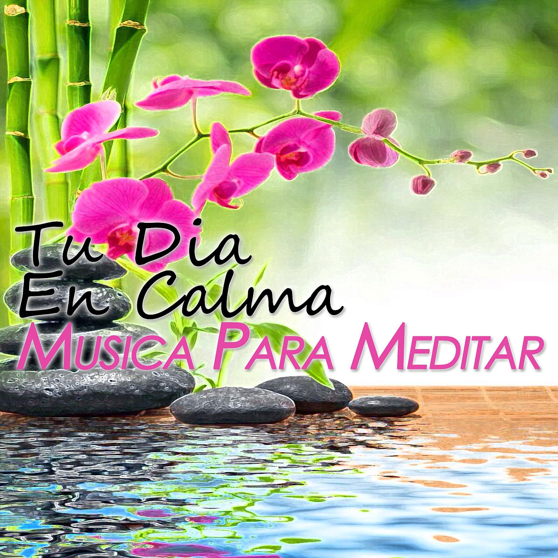 Постер альбома Música Para Calmar Ansiedad
