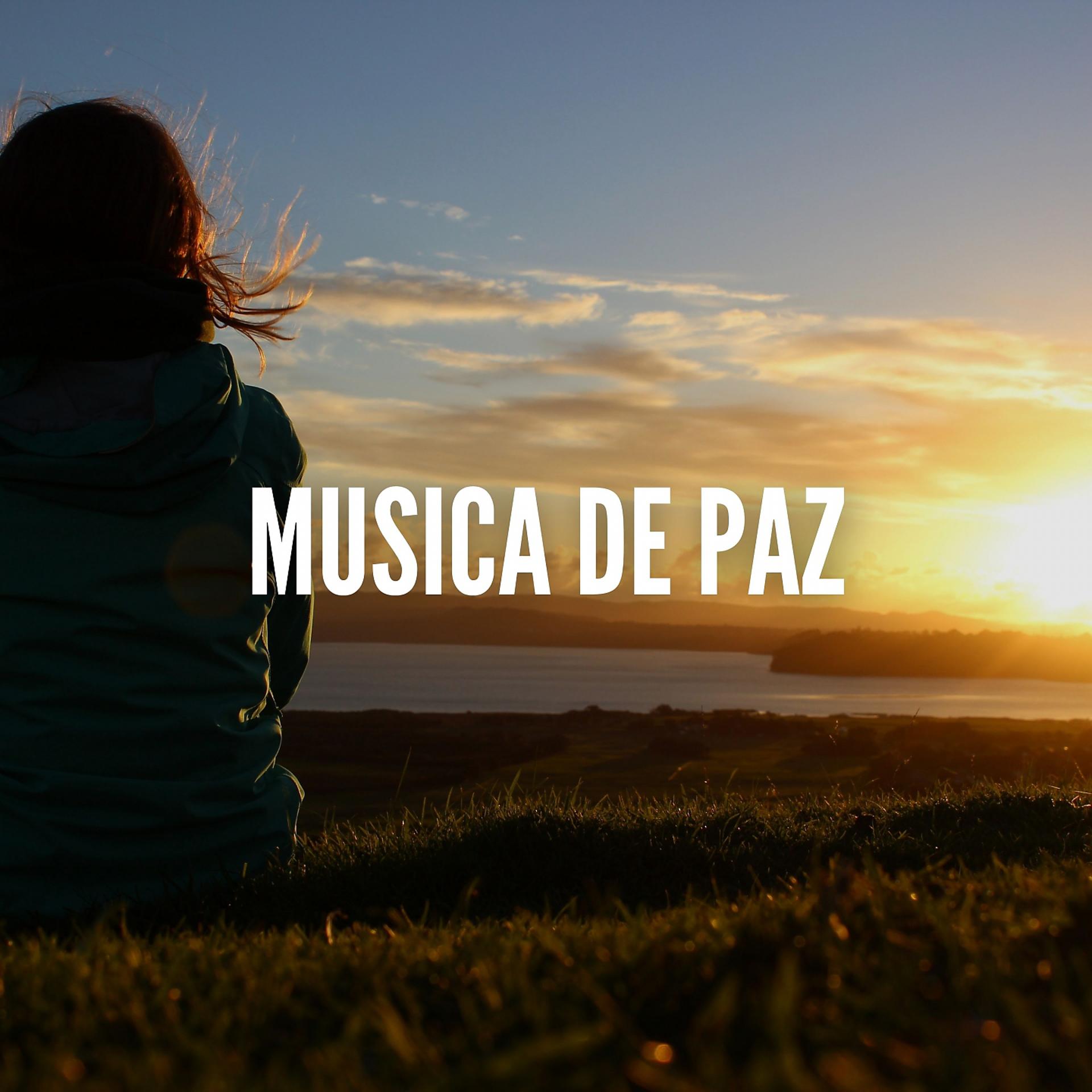 Постер альбома Música De Paz