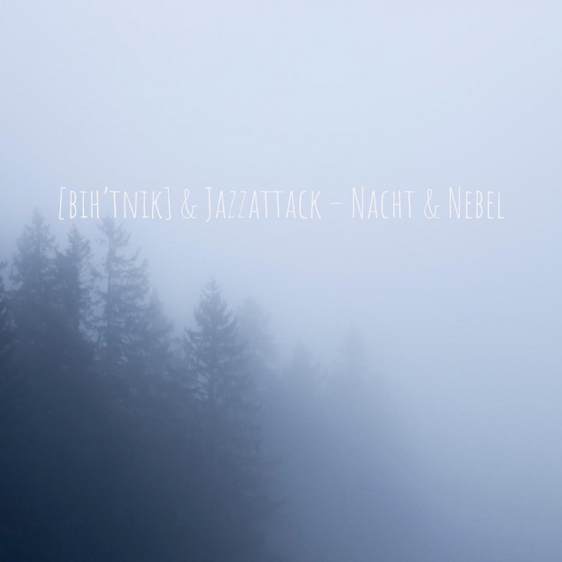 Постер альбома Nacht & Nebel