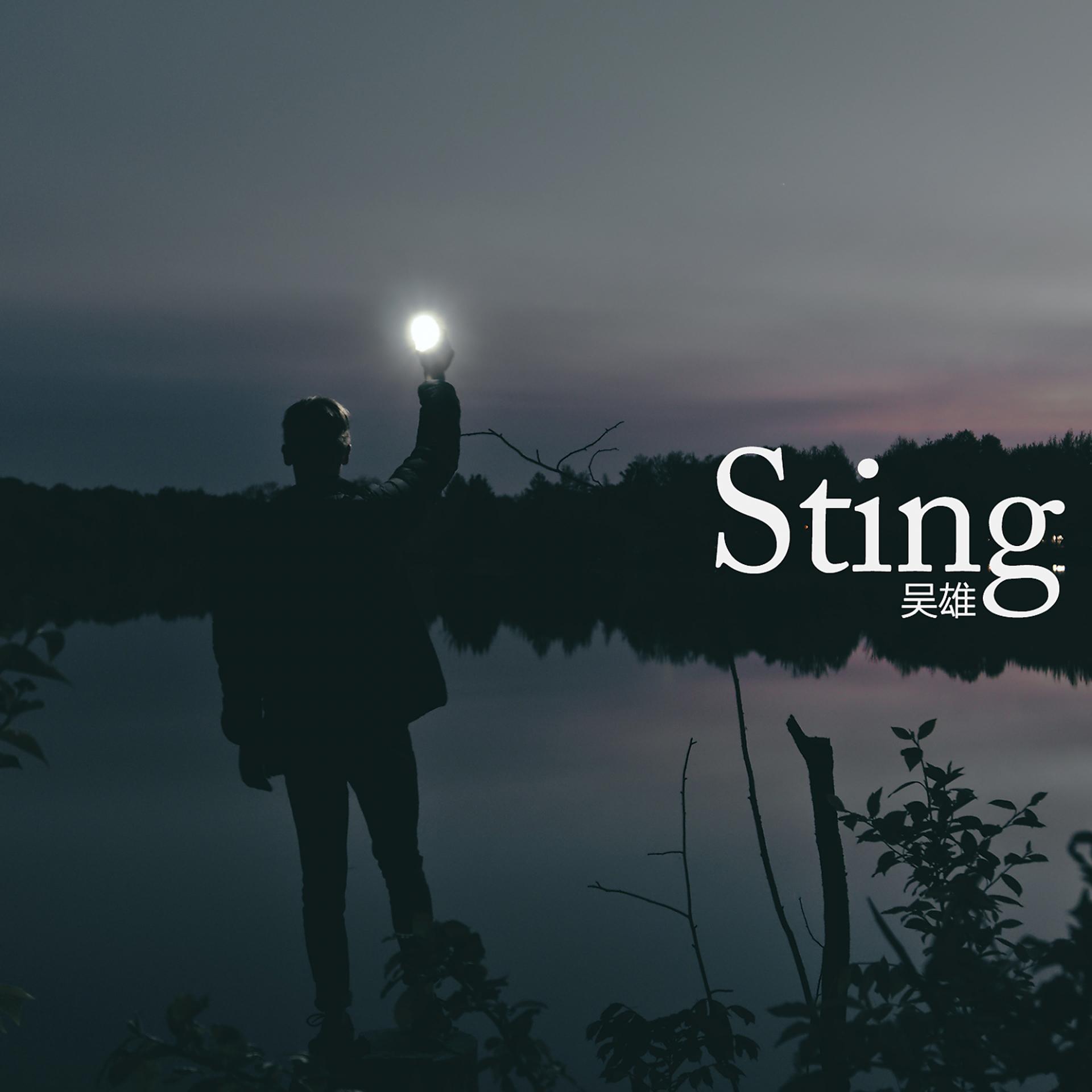 Постер альбома Sting