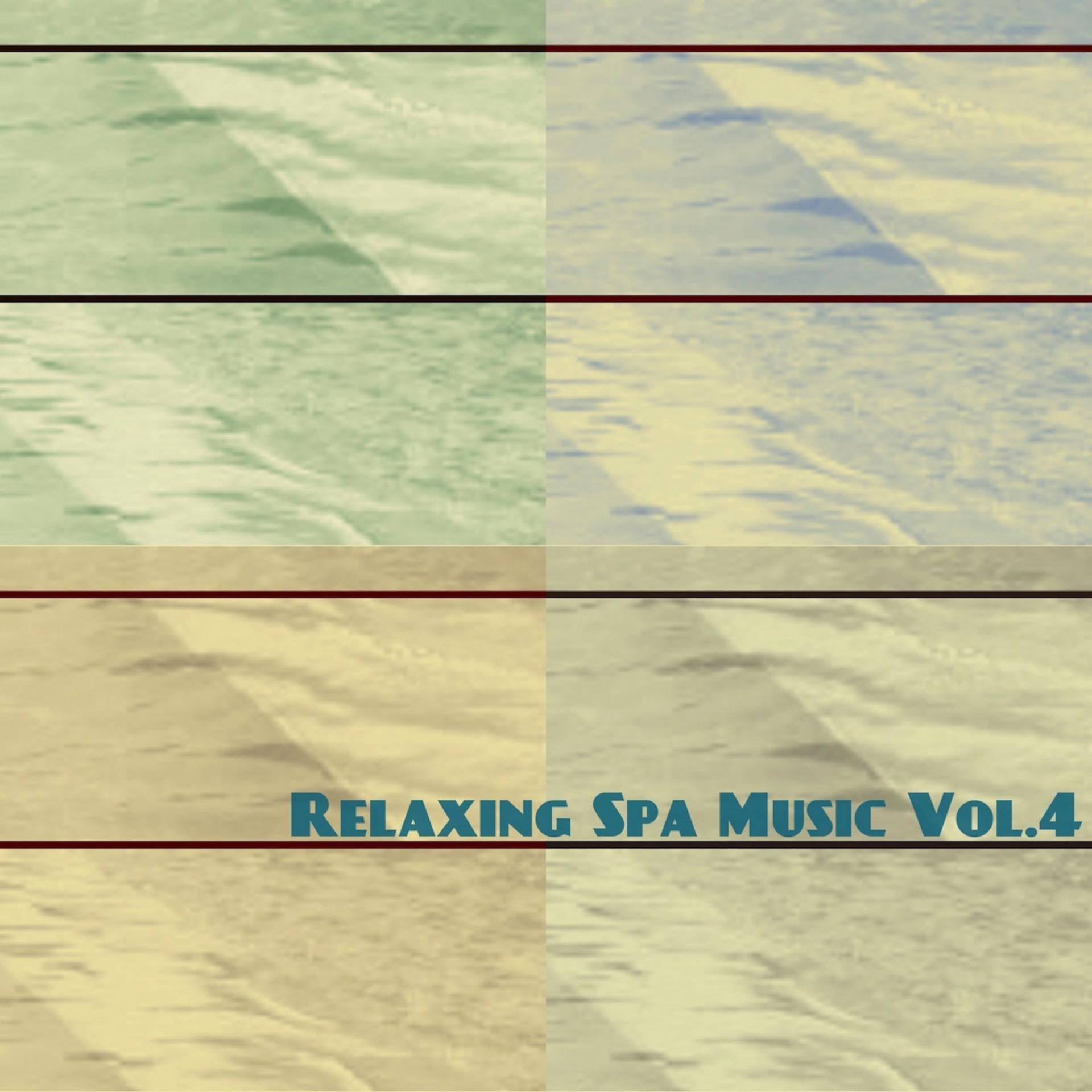 Постер альбома Relaxing Spa Music Vol. 4
