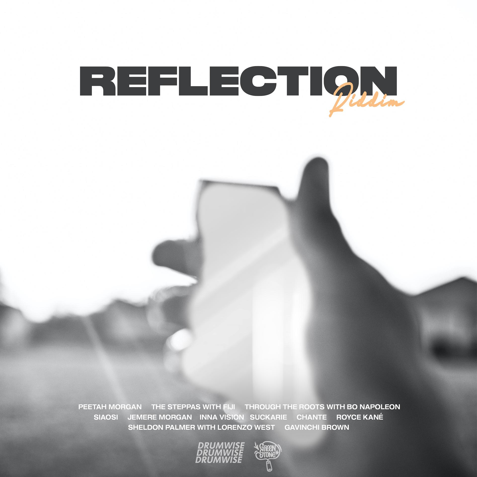 Постер альбома Reflection Riddim