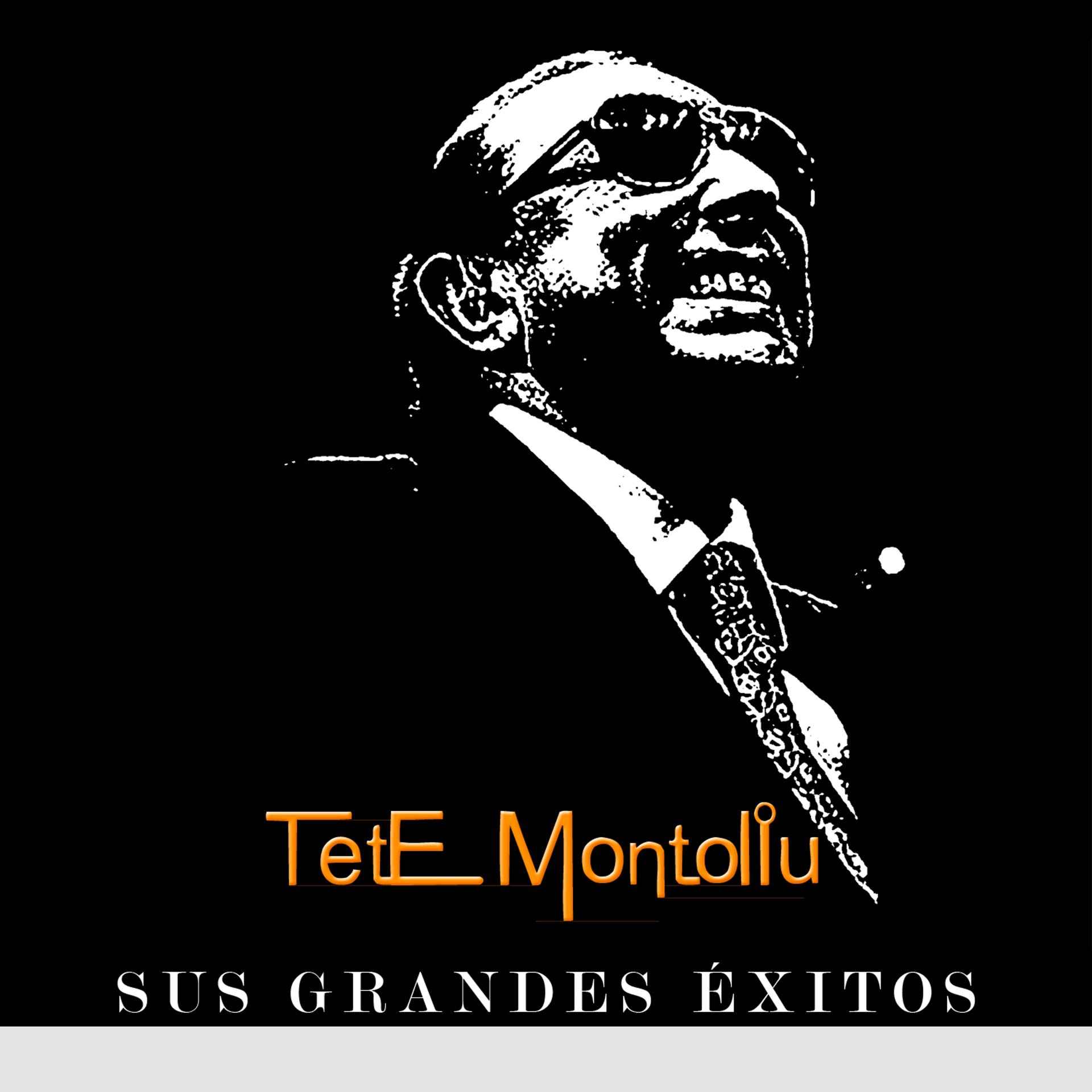 Постер альбома Tete Montoliu - Sus Grandes Éxitos