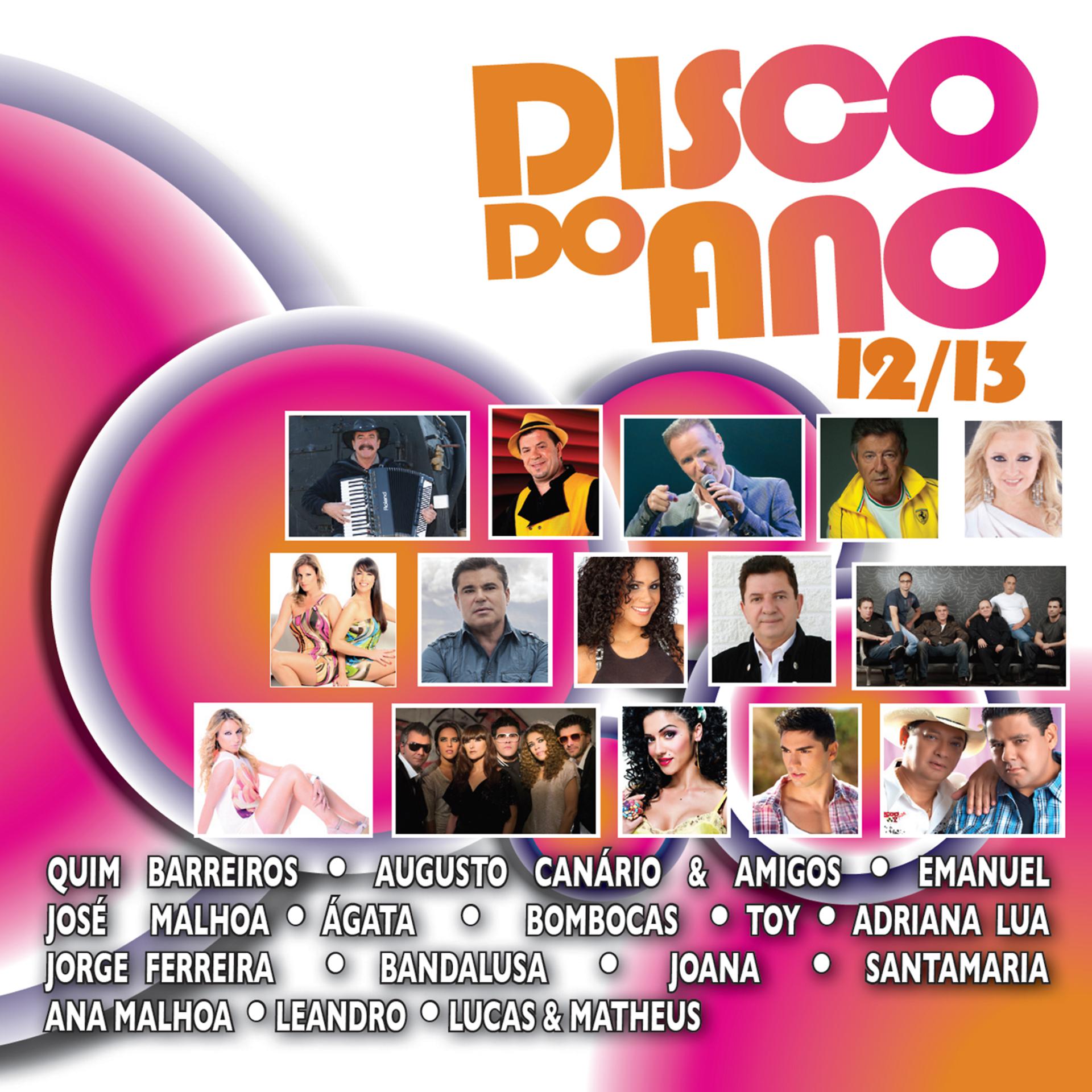 Постер альбома Disco do Ano 2012-13