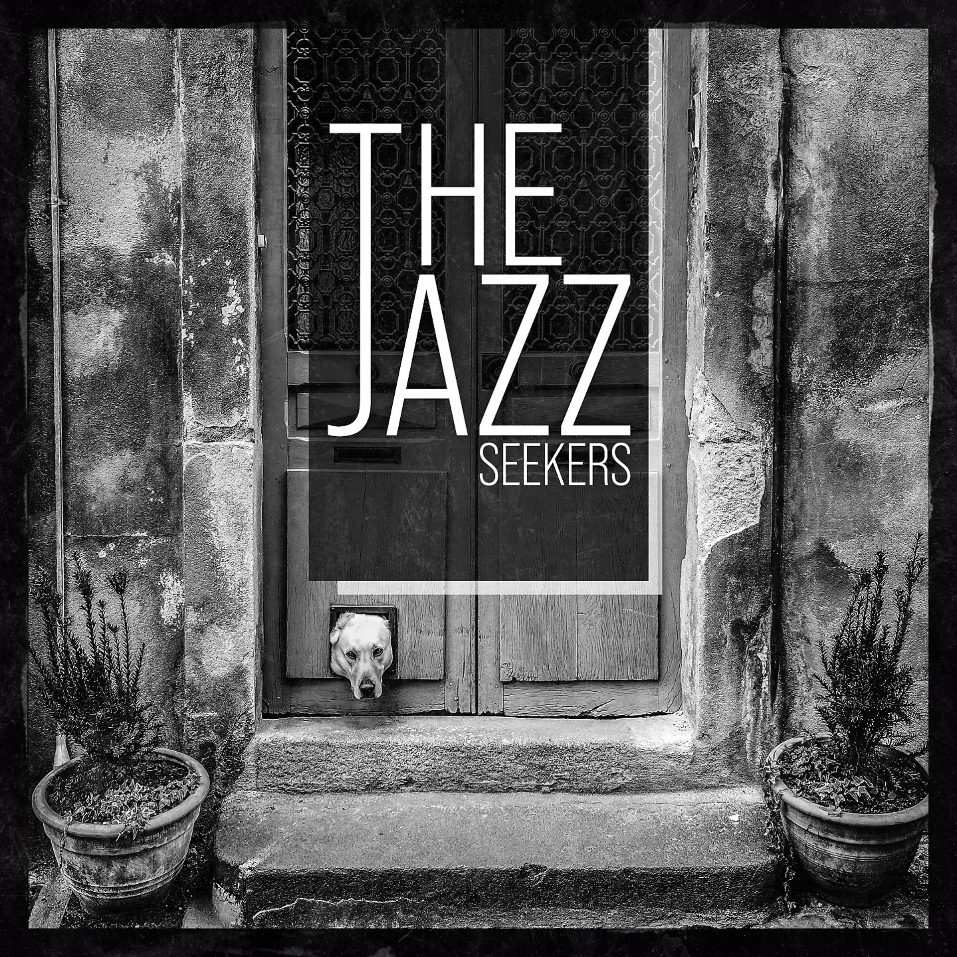 Постер альбома The Jazz Seekers