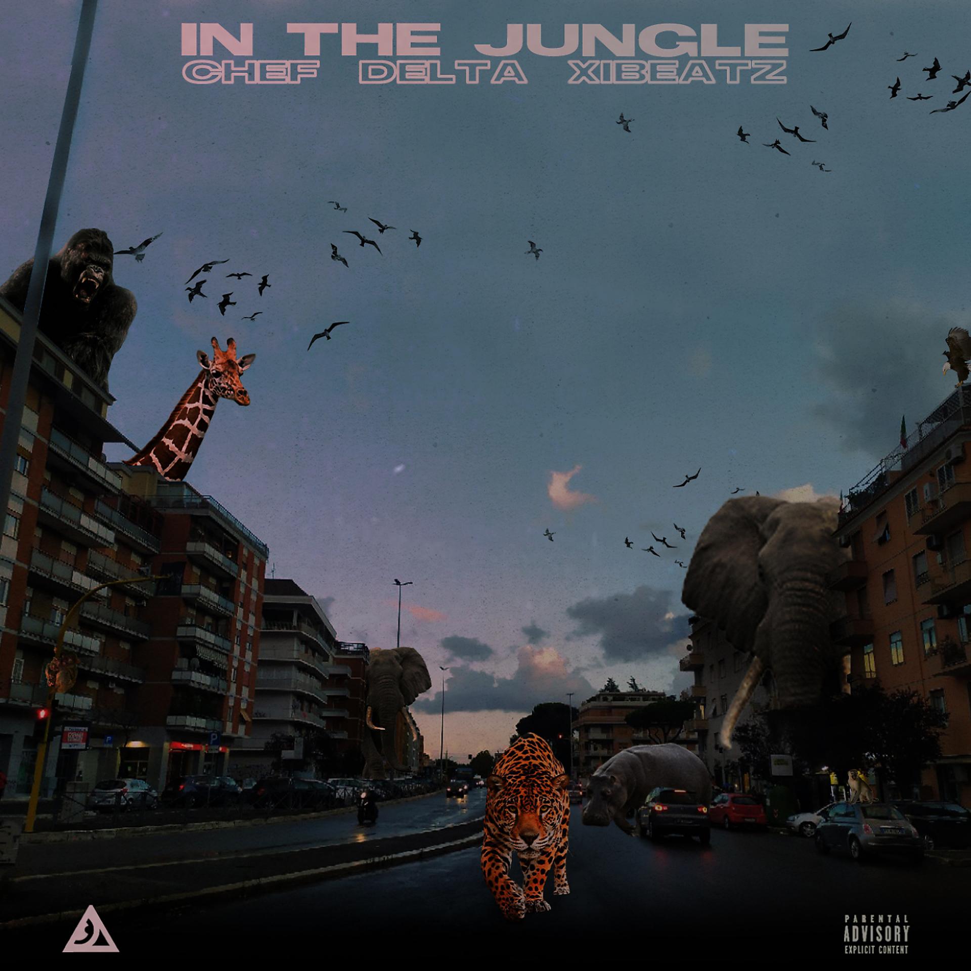 Постер альбома In the Jungle