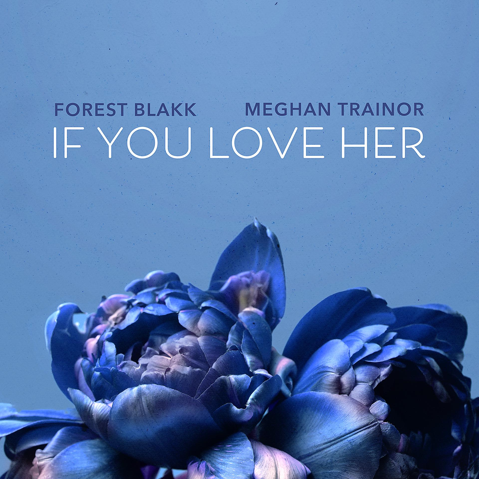 Постер альбома If You Love Her (feat. Meghan Trainor)
