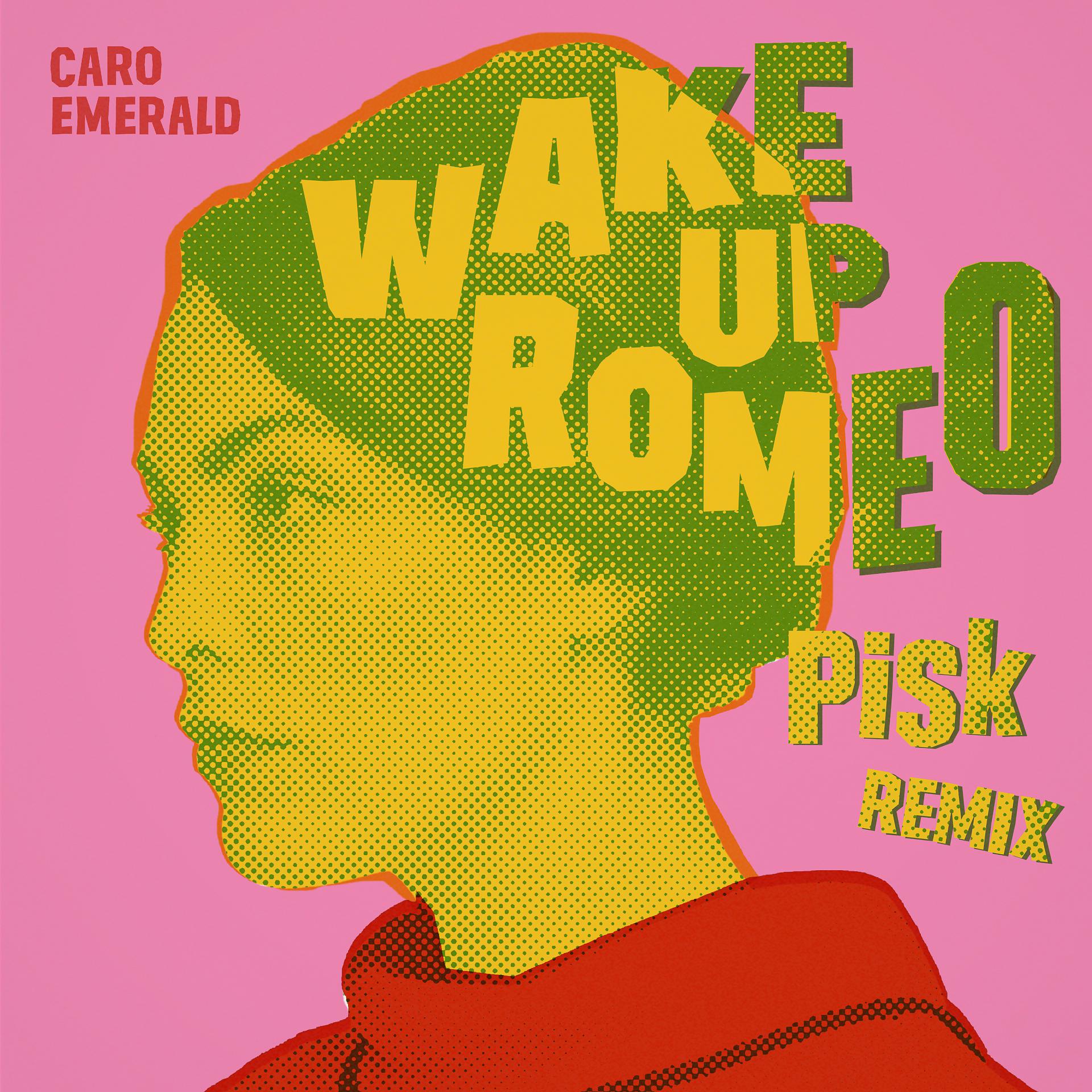 Постер альбома Wake Up Romeo (Pisk Remix)