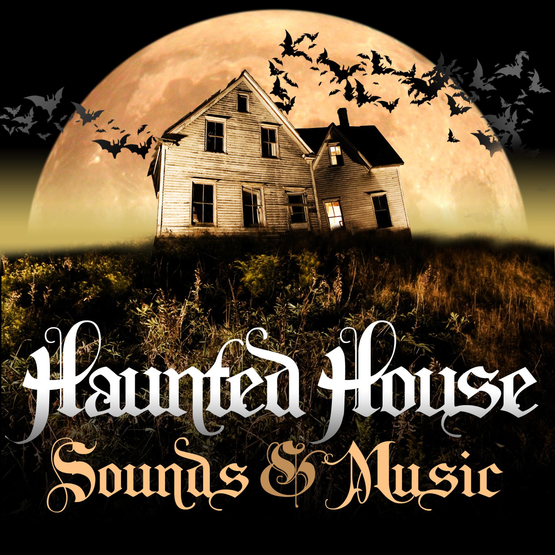 Постер альбома Haunted House Sounds & Music