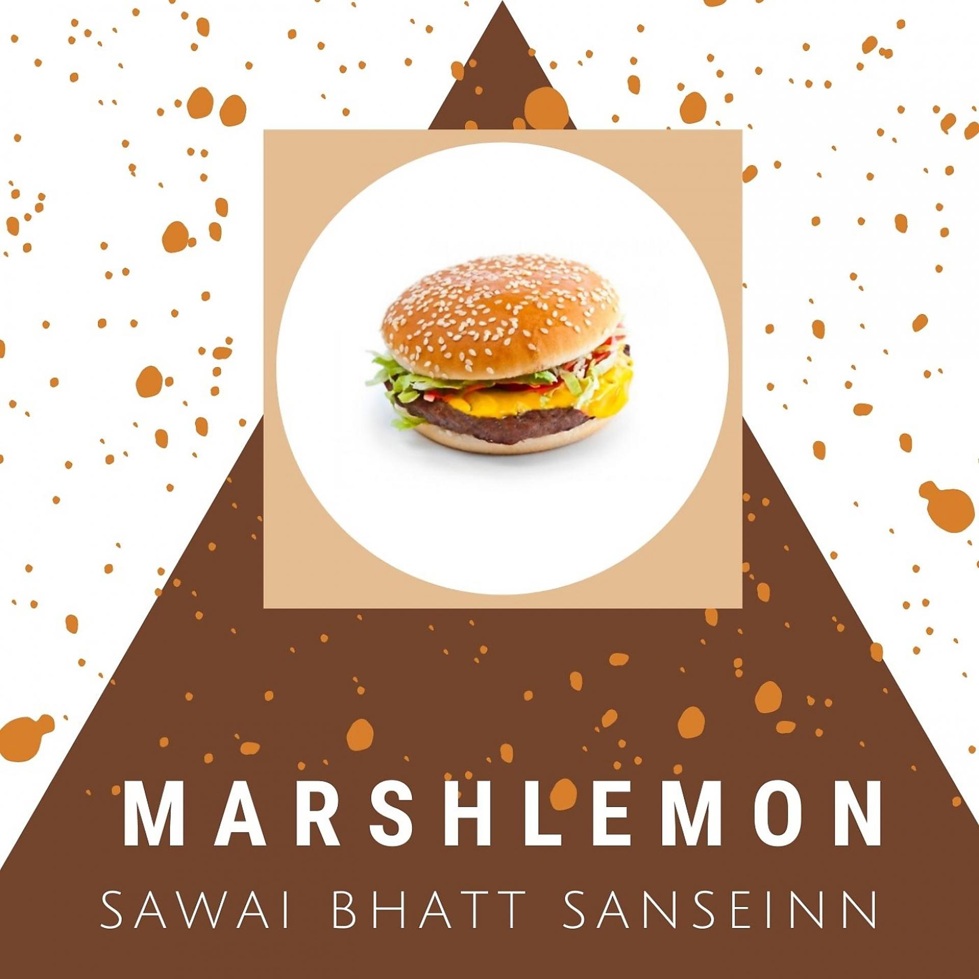 Постер альбома Sawai Bhatt Sanseinn