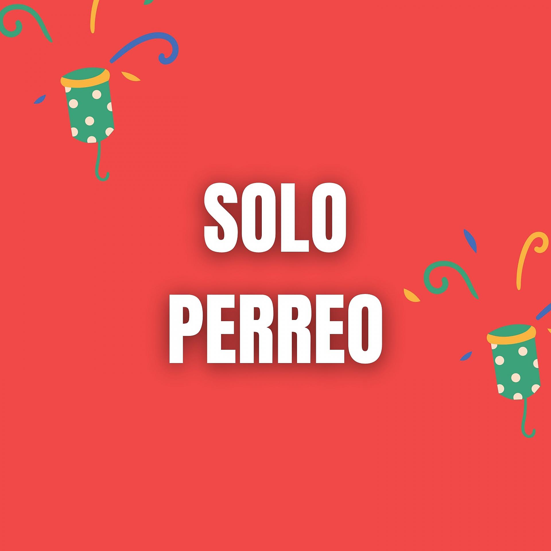Постер альбома Solo Perreo