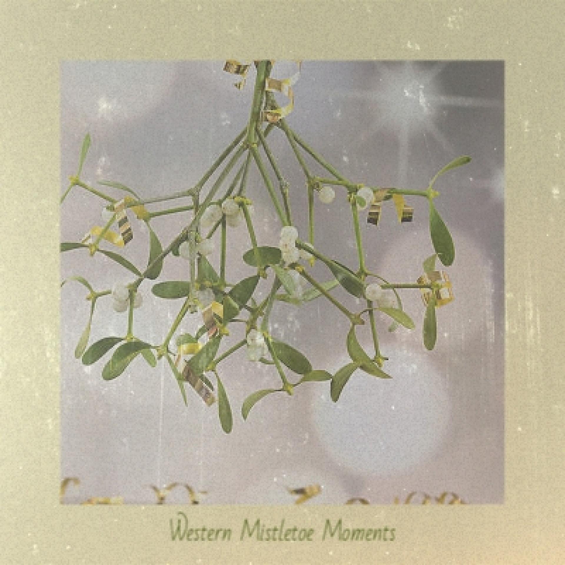Постер альбома Western Mistletoe Moments