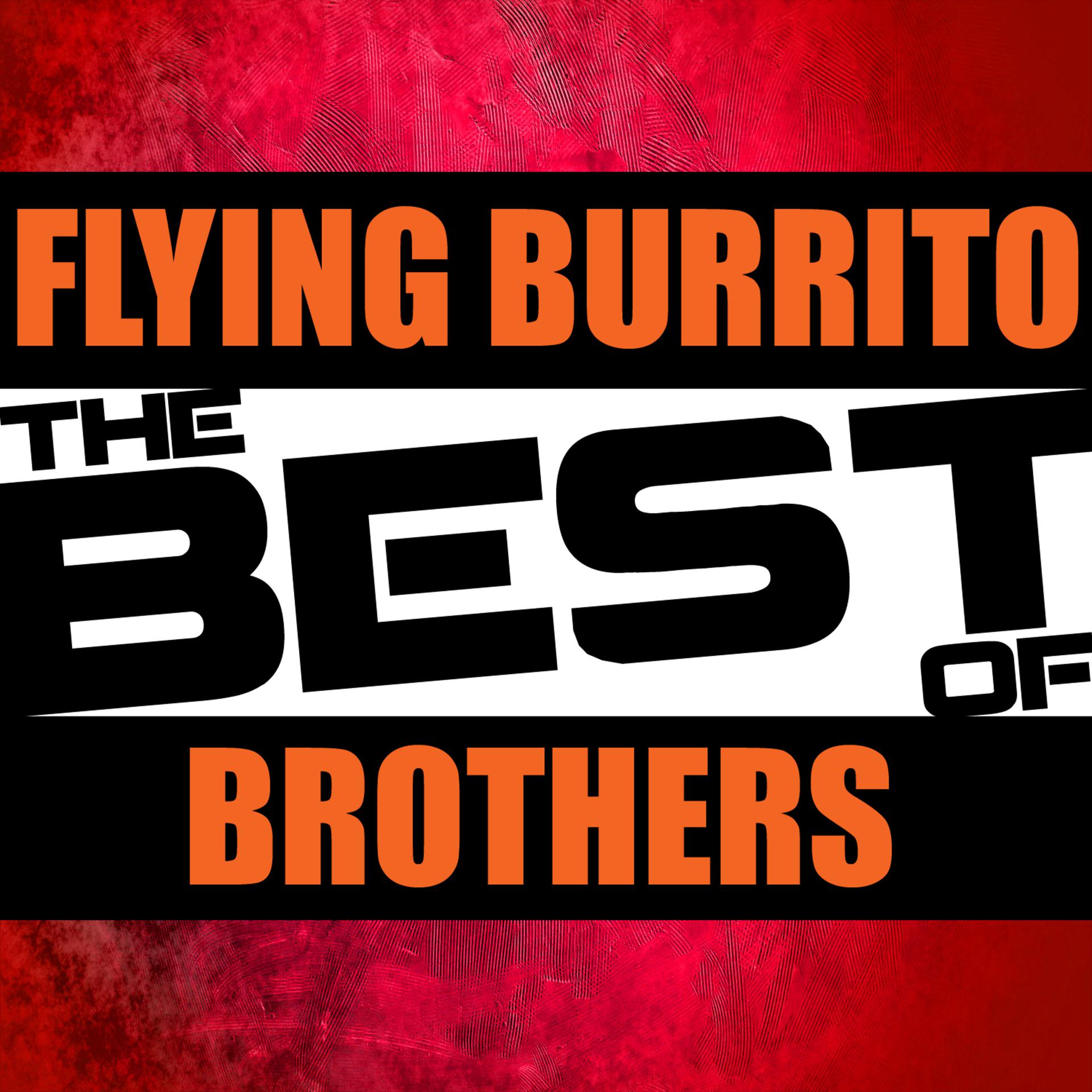 Постер альбома The Best of Flying Burrito Brothers