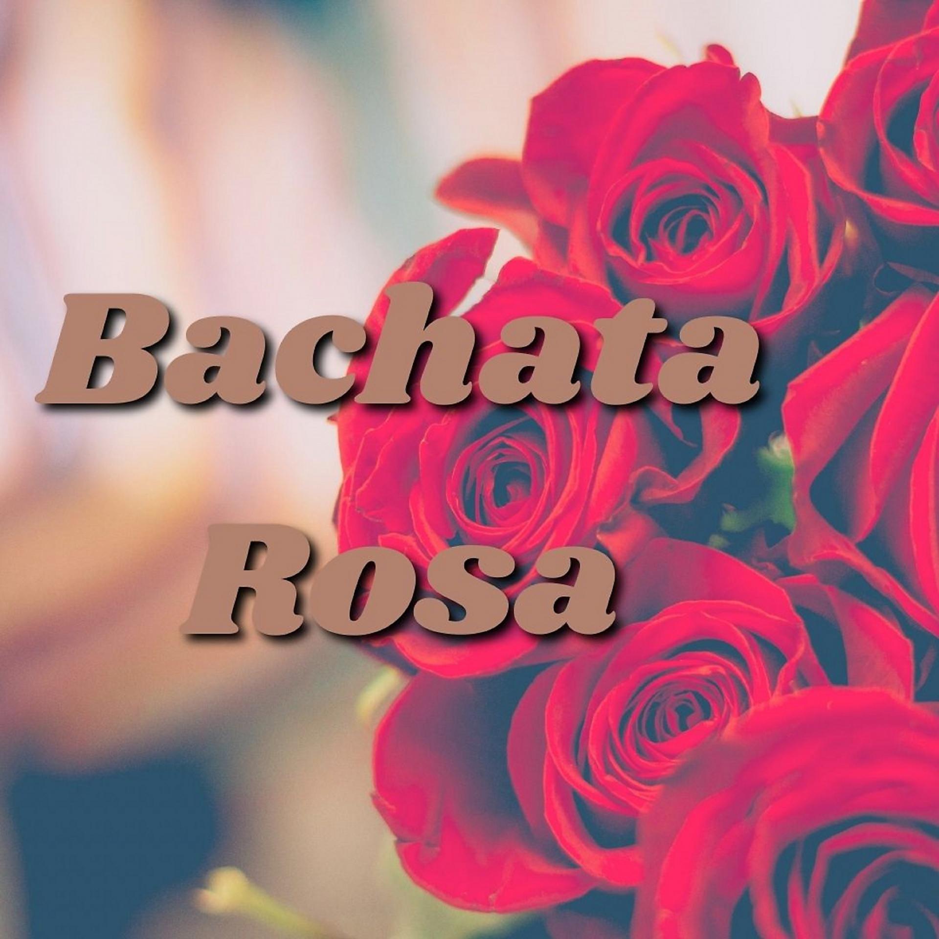 Постер альбома Bachata Rosa