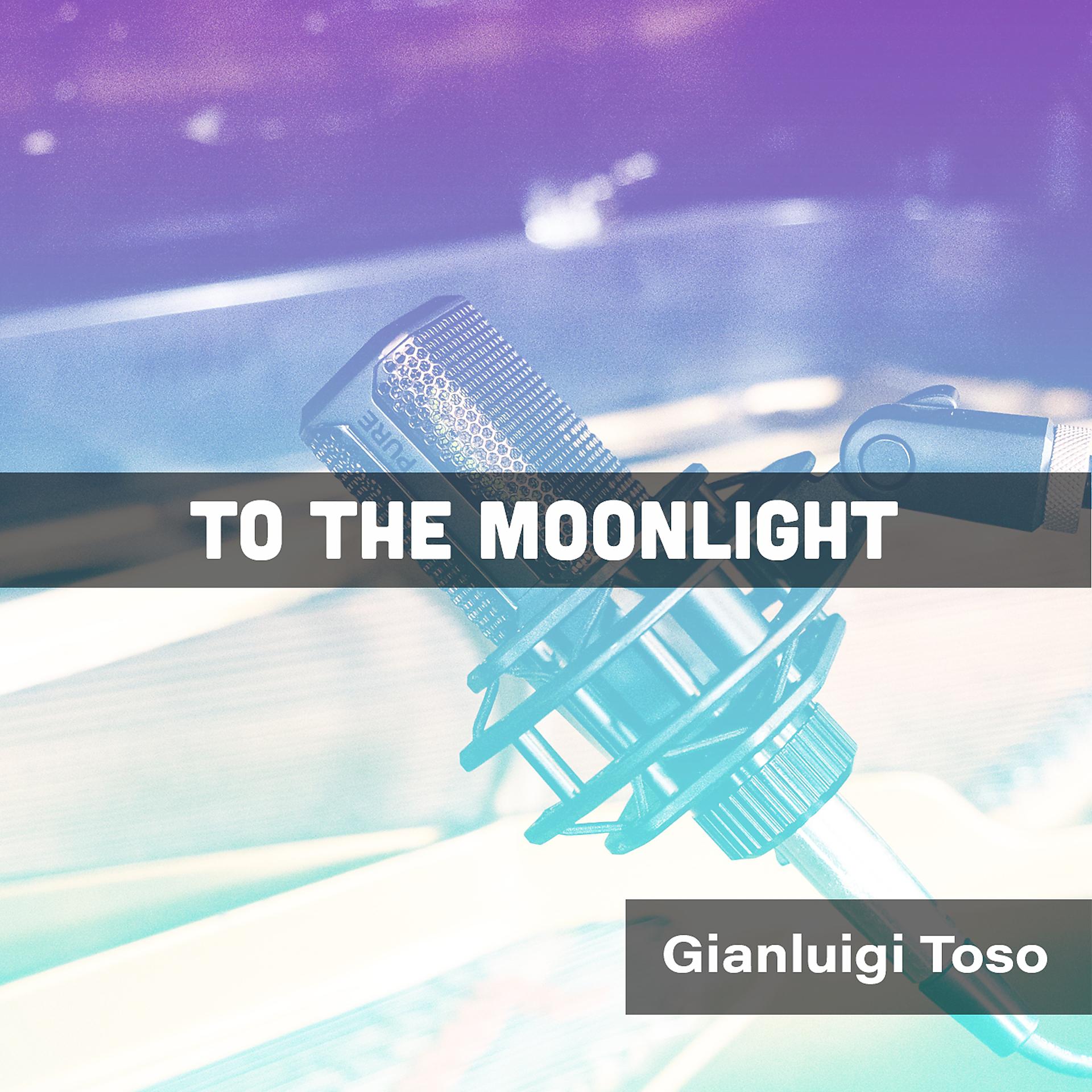 Постер альбома To The Moonlight