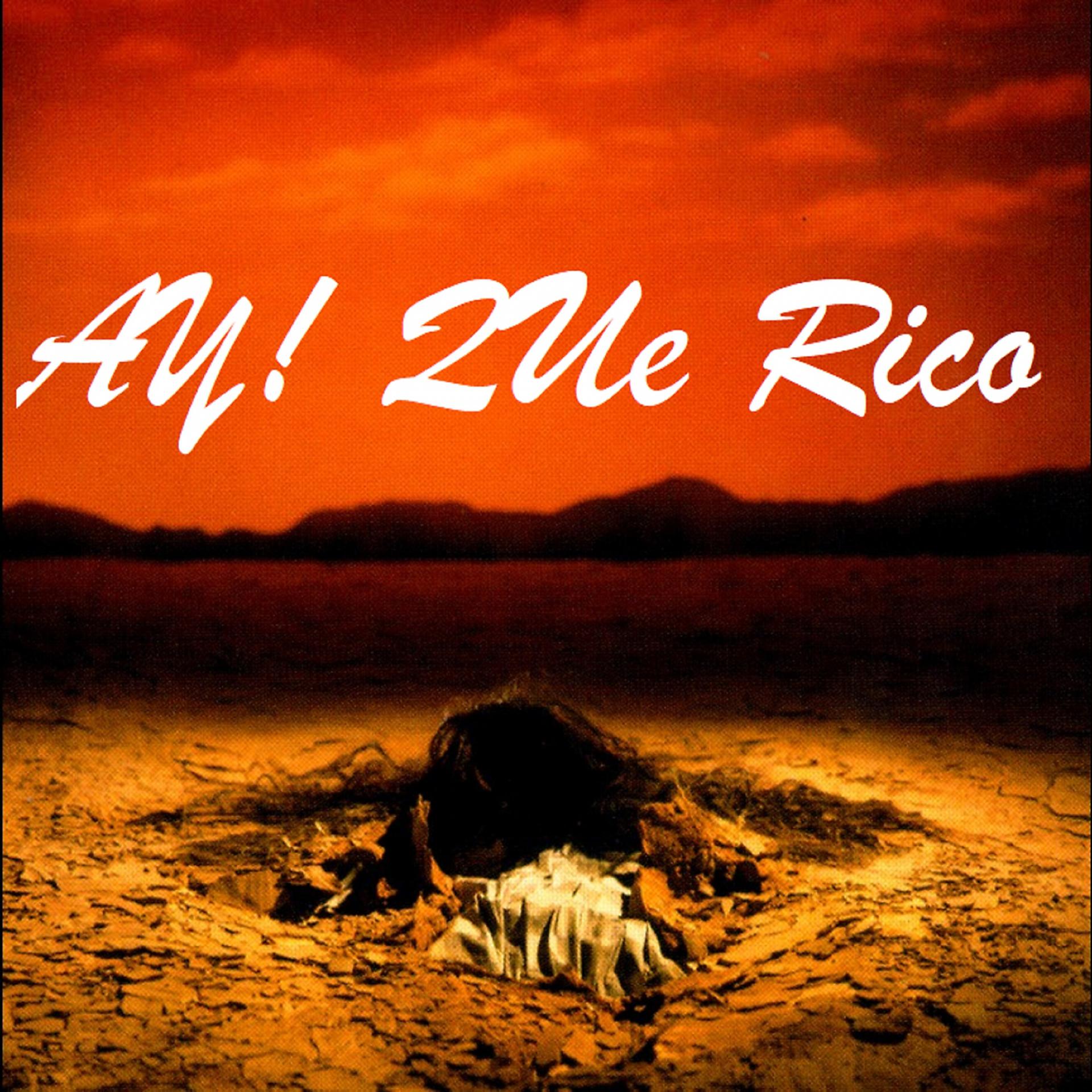 Постер альбома Ay! Que Rico