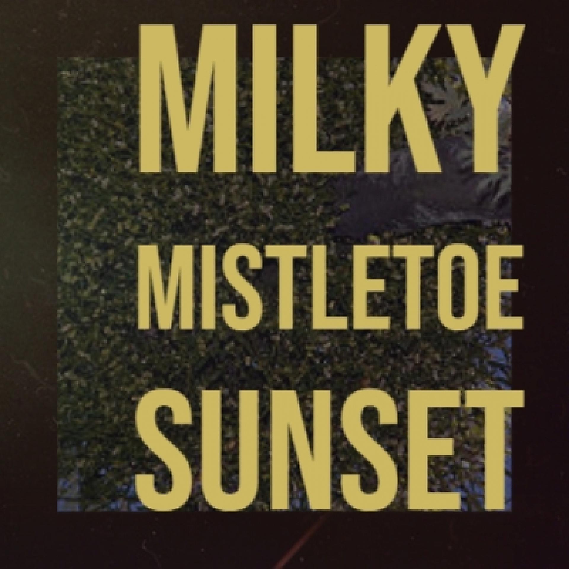 Постер альбома Milky Mistletoe Sunset